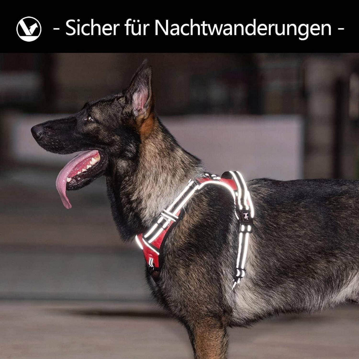 Ein Deutscher Schäferhund mit reflektierendem Geschirr, keuchend und aufmerksam stehend, mit dem Text 'Sicher für Nachtwanderungen' darüber.