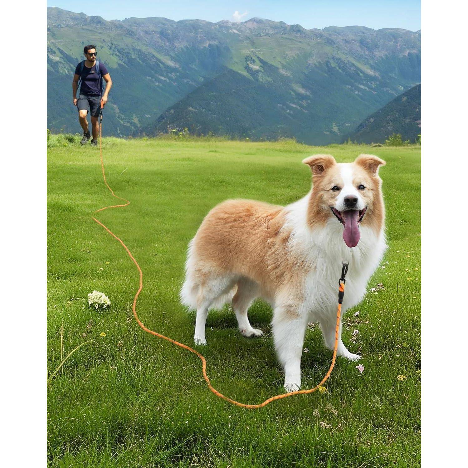 Ein Wanderer geht mit einem Hund an der Leine durch ein grasiges Feld, umgeben von Bergen unter einem klaren Himmel. Der Hund steht und keucht.