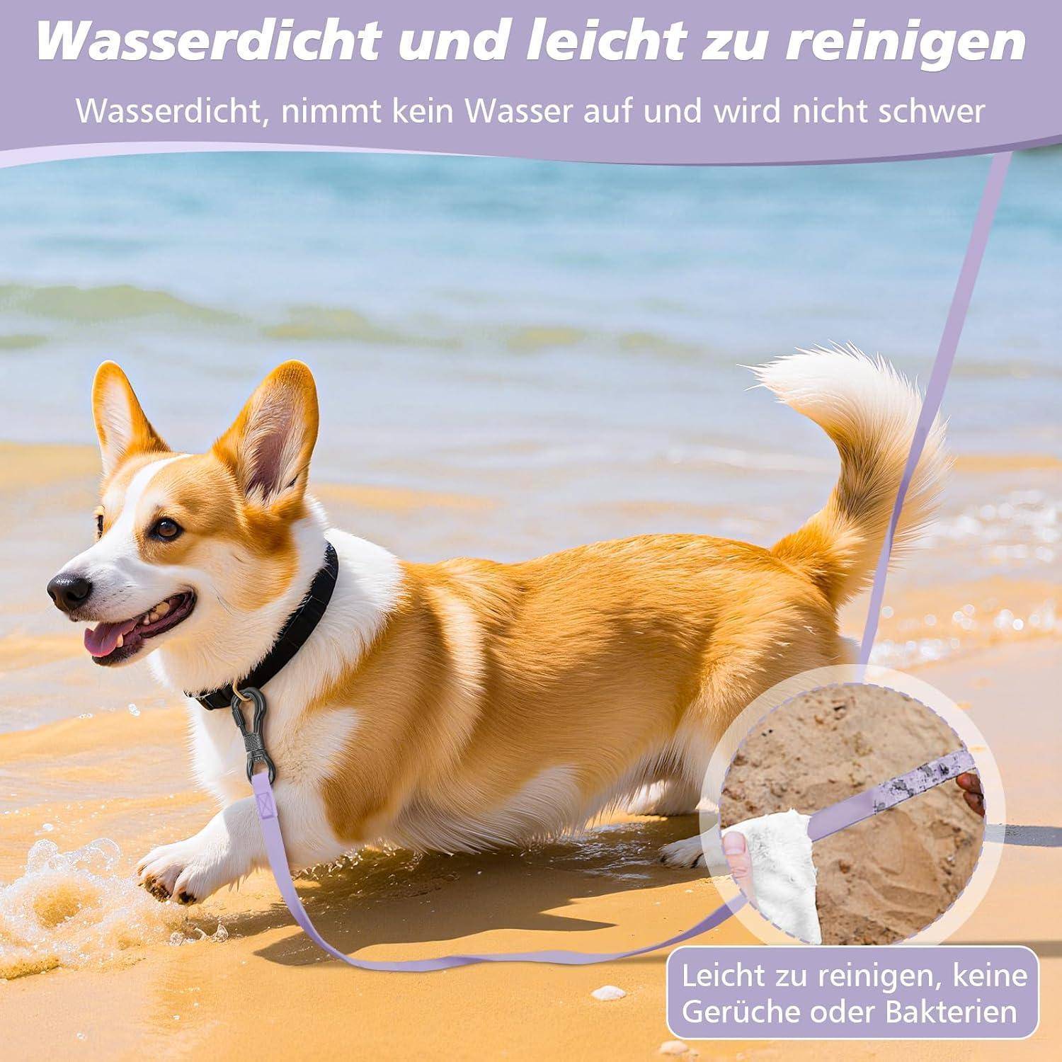 Ein Corgi läuft an einem Strand entlang, angeleint. Text lautet: 