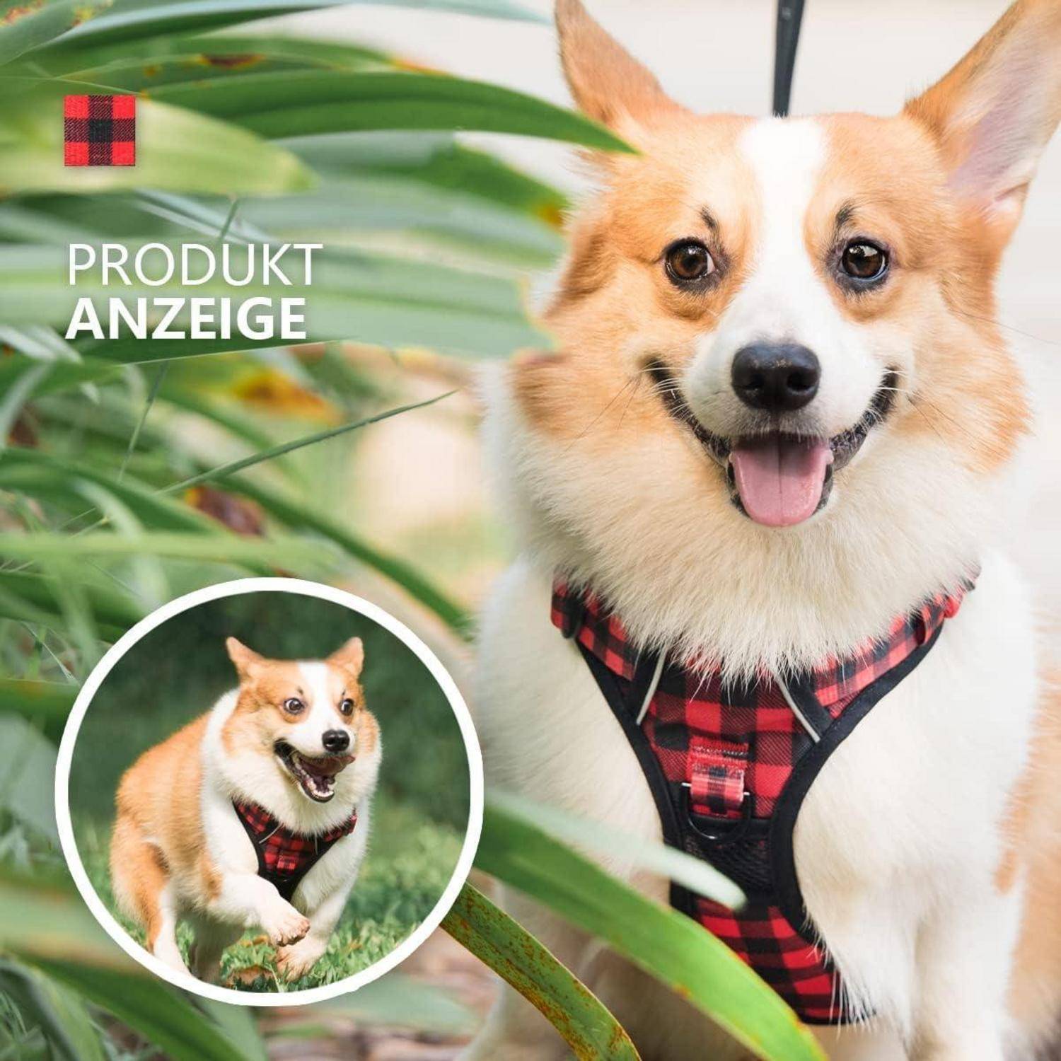 Ein fröhlicher Corgi mit kariertem Geschirr steht zwischen grünen Pflanzen. Der Text auf Deutsch 'PRODUKT ANZEIGE' deutet auf eine Produktwerbung hin.