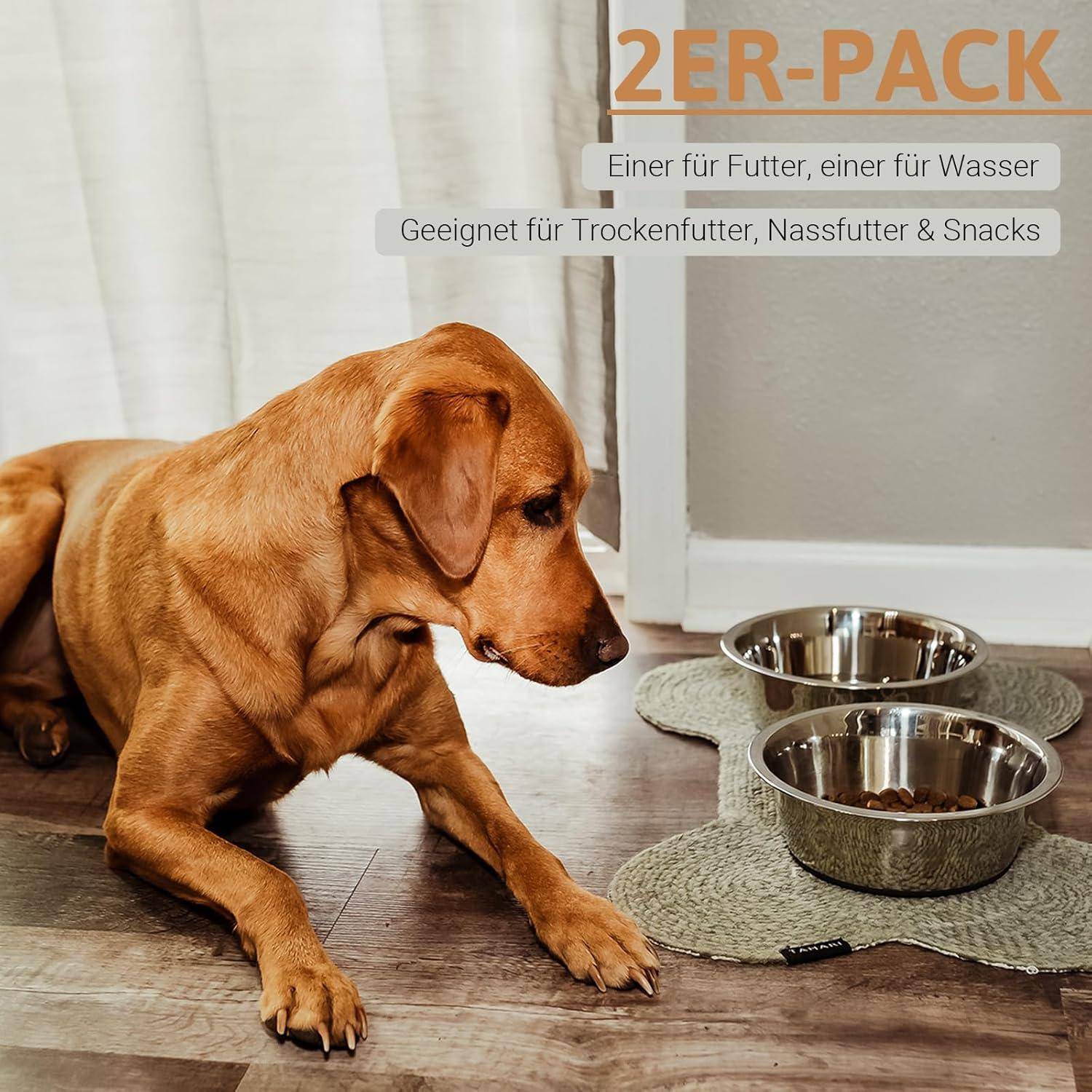Ein brauner Hund liegt auf einem Holzboden in der Nähe von zwei Edelstahlschüsseln mit einer Texteinblendung auf Deutsch über ein '2er-Pack', das für Futter und Wasser geeignet ist.