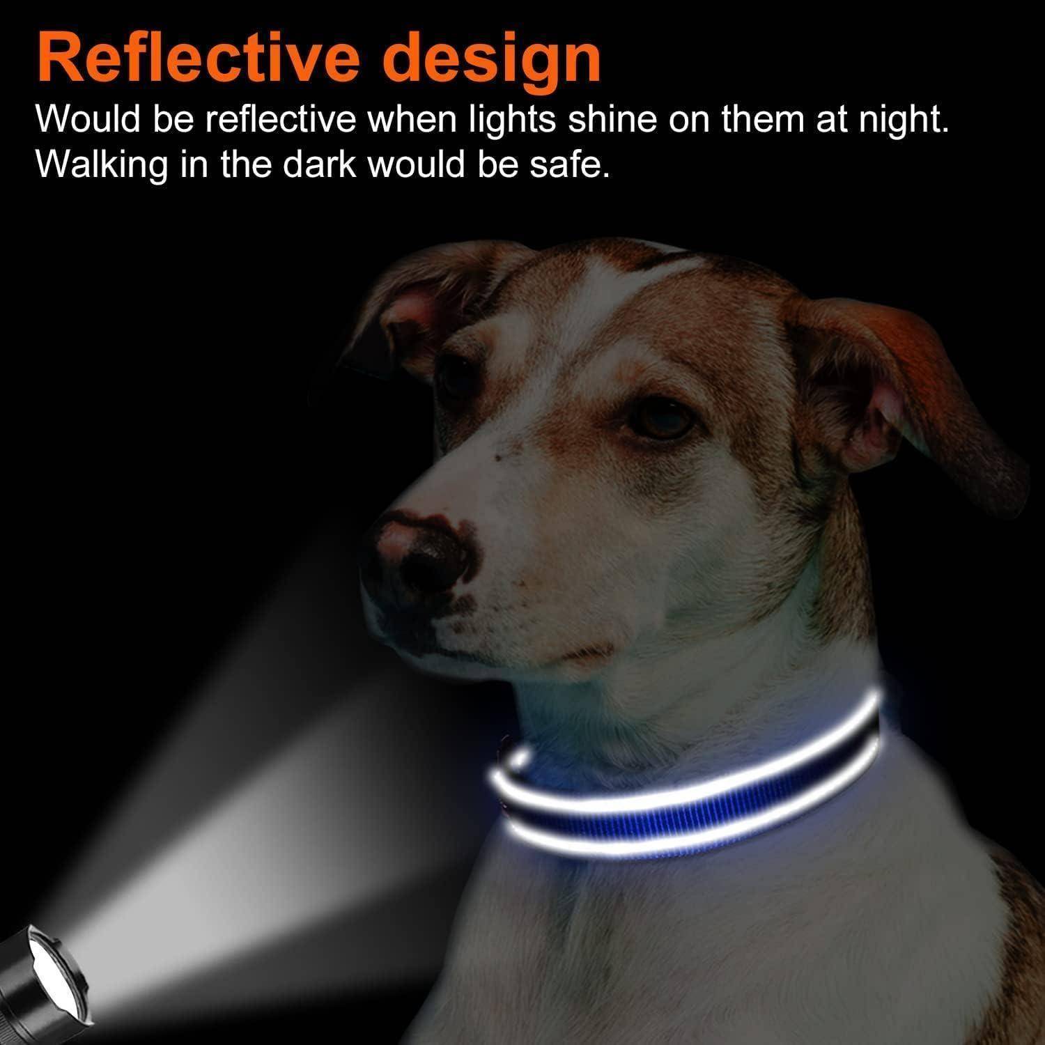 Ein Hund mit einem leuchtenden, reflektierenden Halsband bei Nacht. Text auf dem Bild sagt: ‚Reflektierendes Design. Würde reflektieren, wenn Lichter sie nachts anstrahlen.