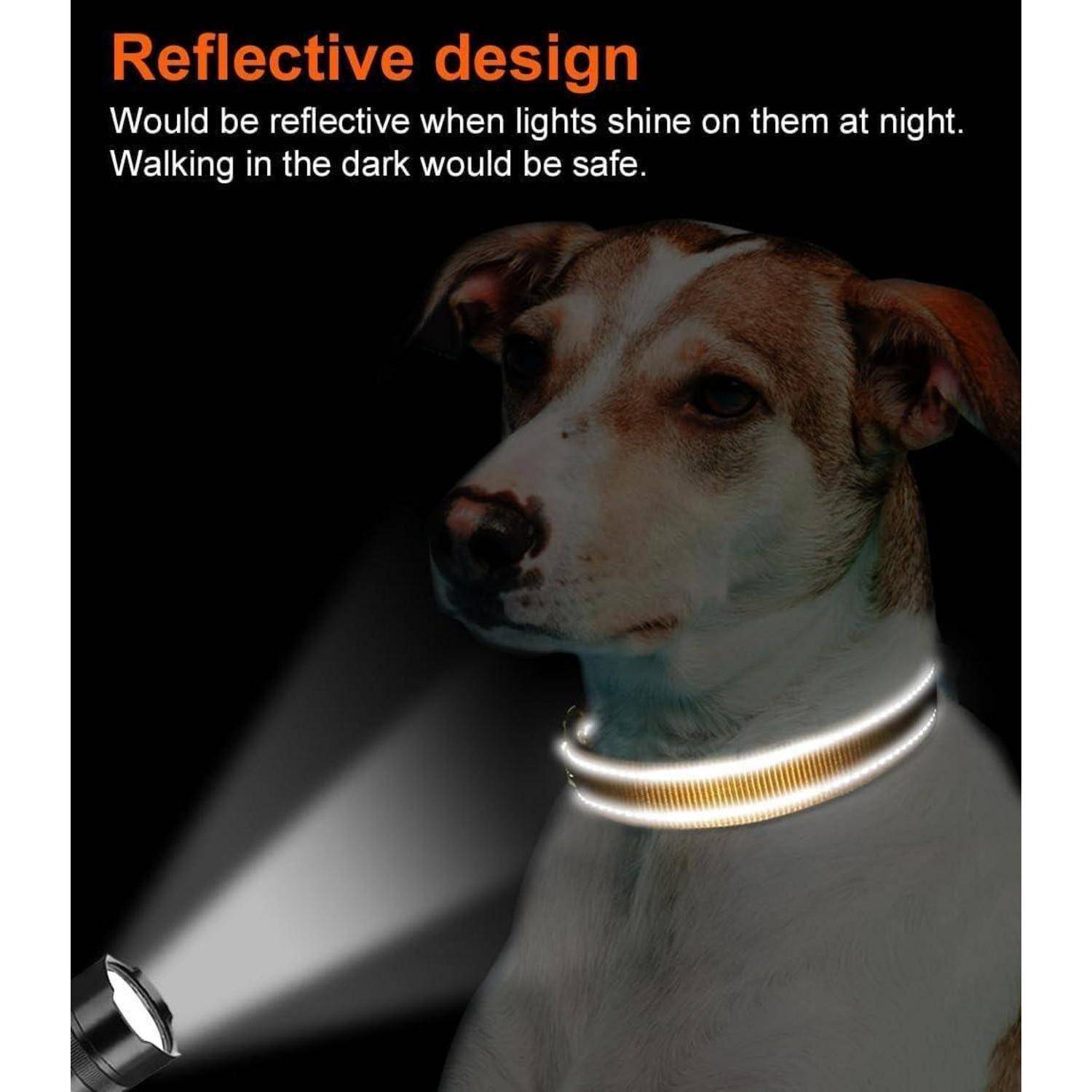 Ein Hund mit einem reflektierenden Halsband steht im Dunkeln, während eine Taschenlampe auf ihn scheint. Text lautet: 'Reflektierendes Design. Das Gehen in der Dunkelheit wäre sicher.