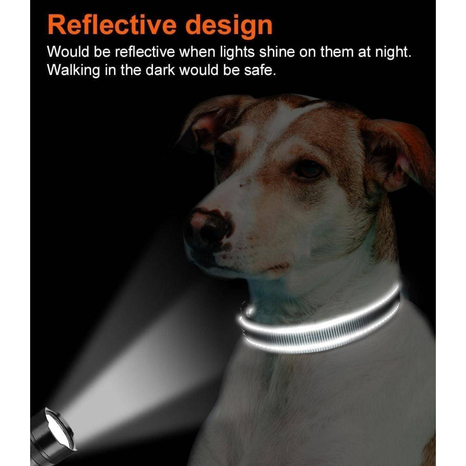 Ein Hund mit einem reflektierenden Halsband, beleuchtet von einer Taschenlampe. Text liest sich: Reflektierendes Design. Würde reflektieren, wenn Licht nachts darauf scheint. Gehen in der Dunkelheit wäre sicher.