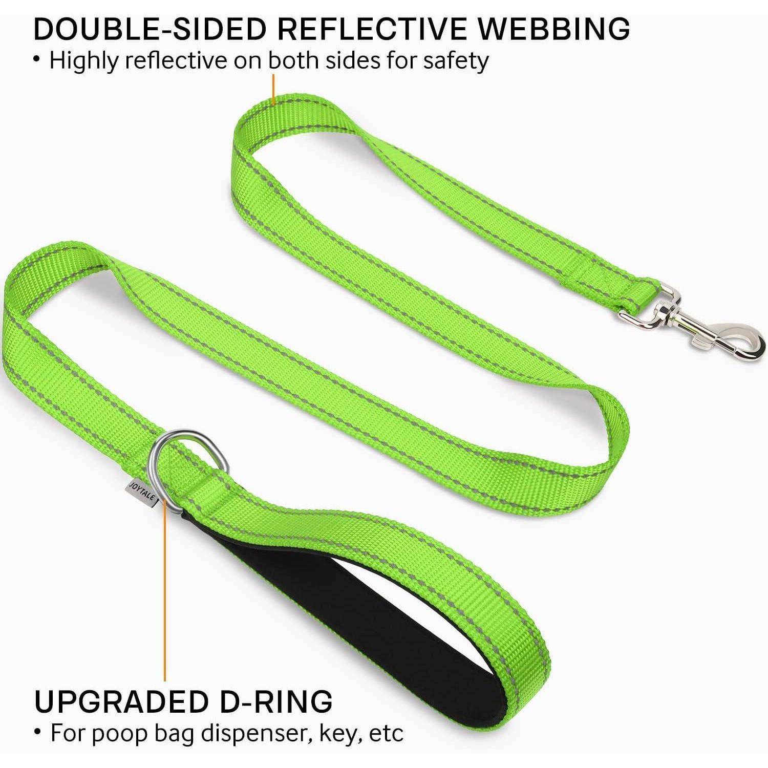 Grüne Hundeleine mit reflektierender Gurtbandwebung und gepolstertem Griff. Ausgestattet mit einem D-Ring für Zubehör. Der Text betont Sicherheit und Funktionalität.