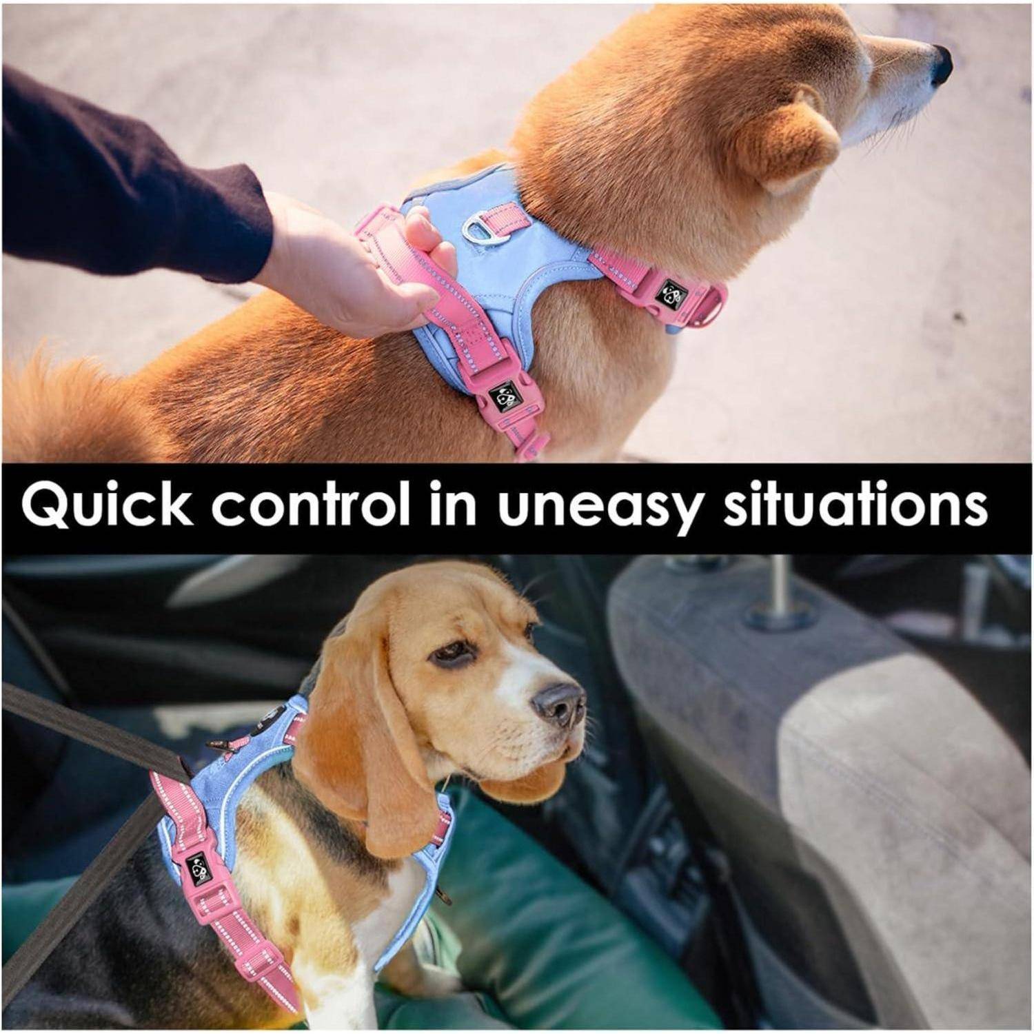 Hundegeschirr No Pull Babyblaue Basis und Rosa Träger Medium