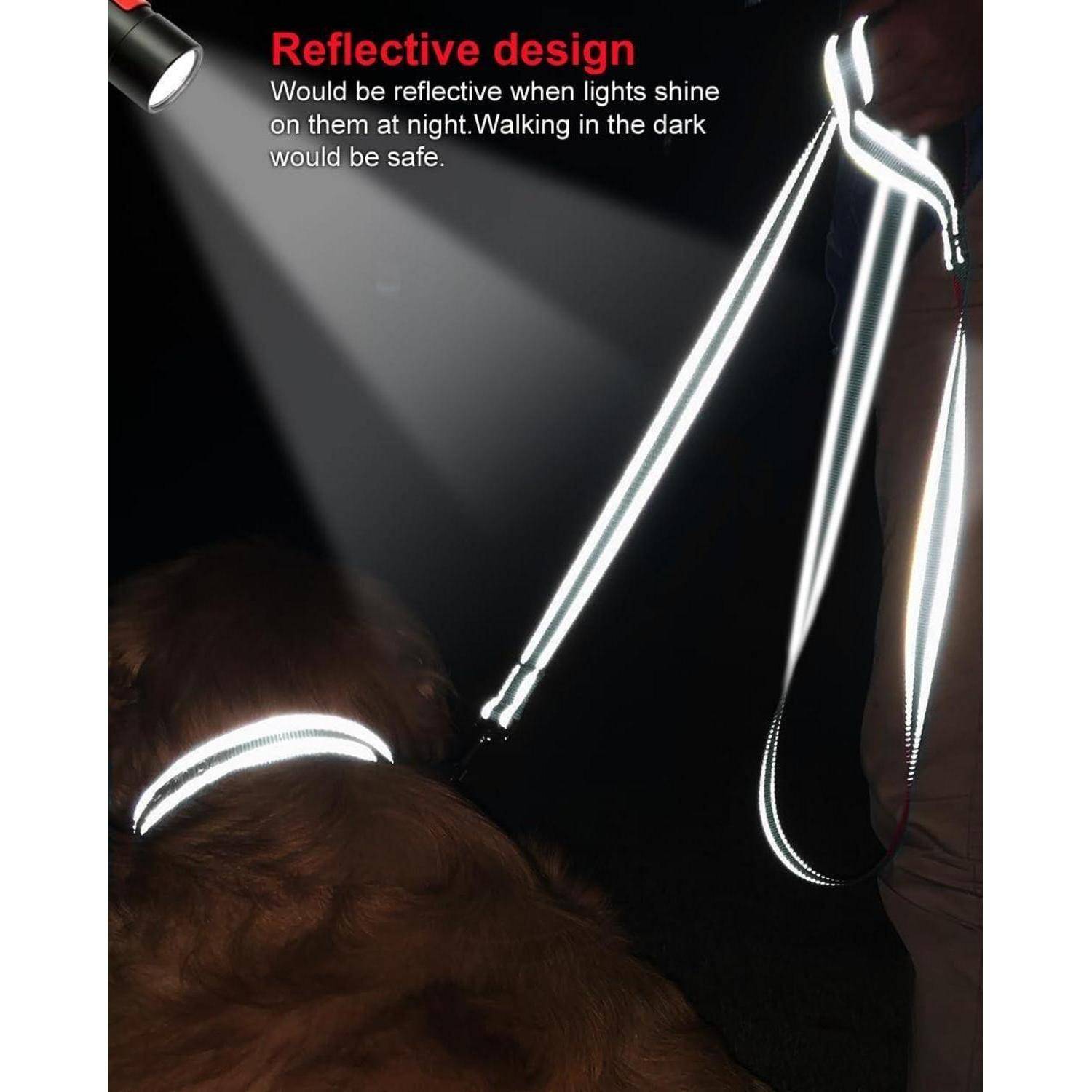 Person, der eine Leine mit einem Hund hält, beide mit reflektierenden Streifen, die in einer dunklen Umgebung leuchten. Der Text betont das reflektierende Design.