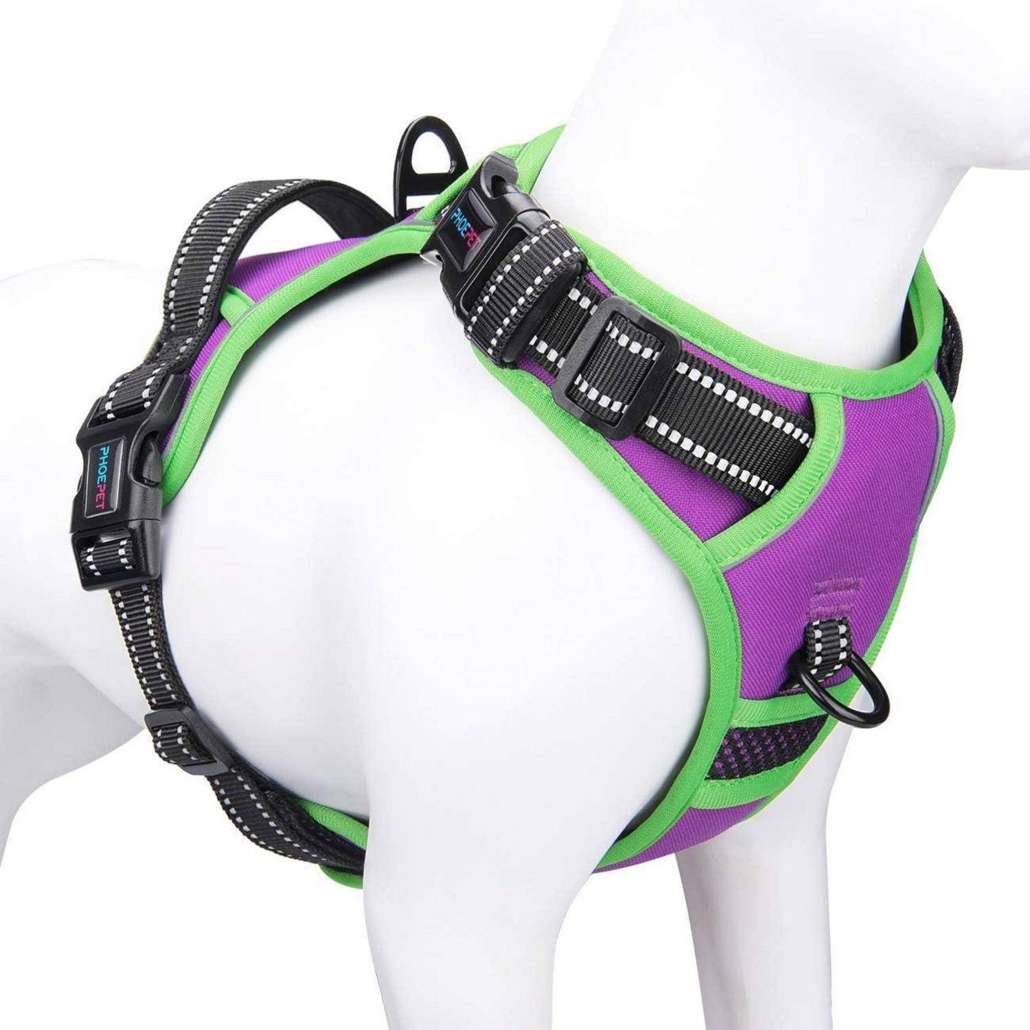 Ein lila-grüner Hundegeschirr mit verstellbaren schwarzen Riemen und reflektierender Naht, entwickelt für Komfort und Sichtbarkeit.