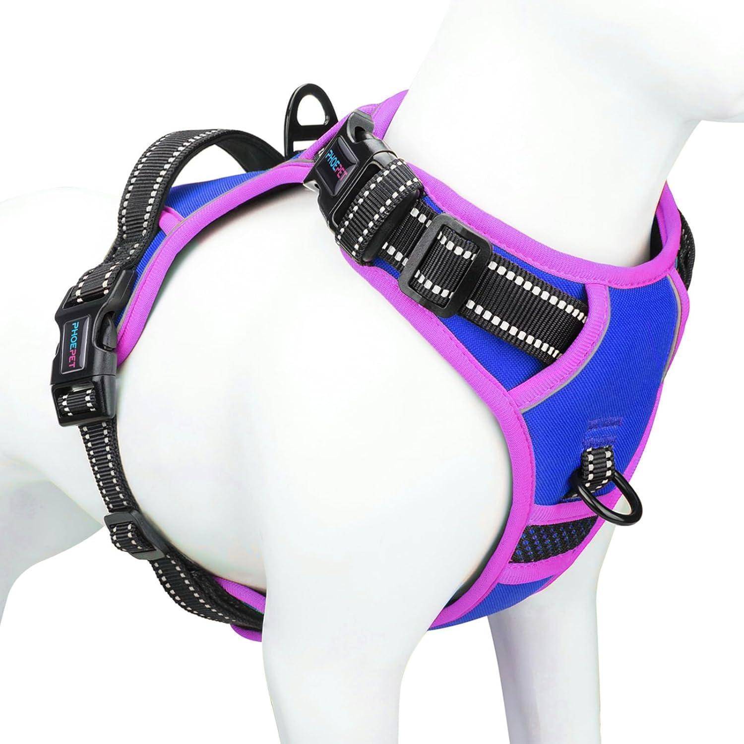 Eine weiße Schaufensterpuppe, die ein Hundegeschirr in Blau und Rosa mit schwarzen Schnallen und reflektierender Naht trägt. Das Geschirr verfügt über einen Griff und einen Metallring.