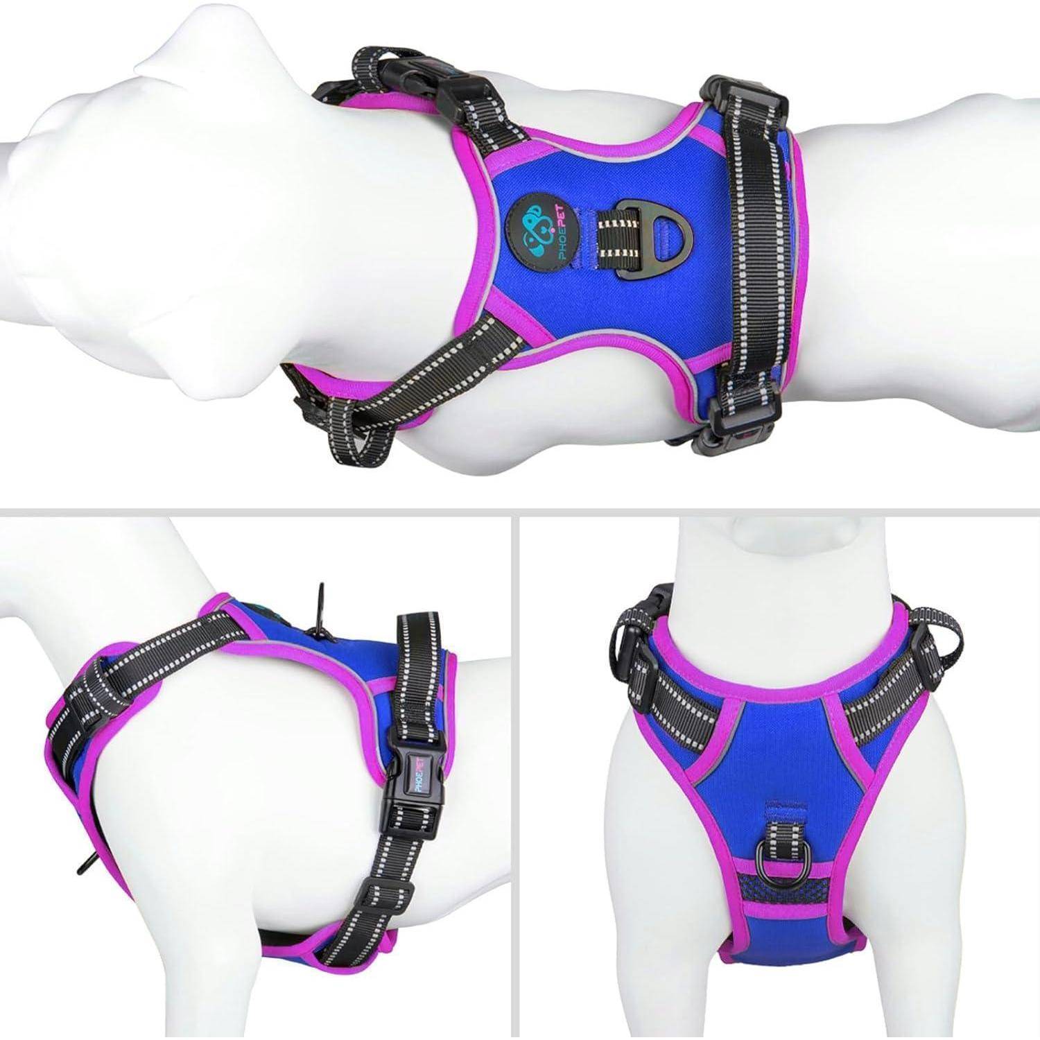 Weiße Schaufensterpuppe eines Hundes, die einen blauen und rosa Geschirr mit schwarzen Riemen und Schnallenverschlüssen trägt. Front- und Seitenansicht dargestellt.