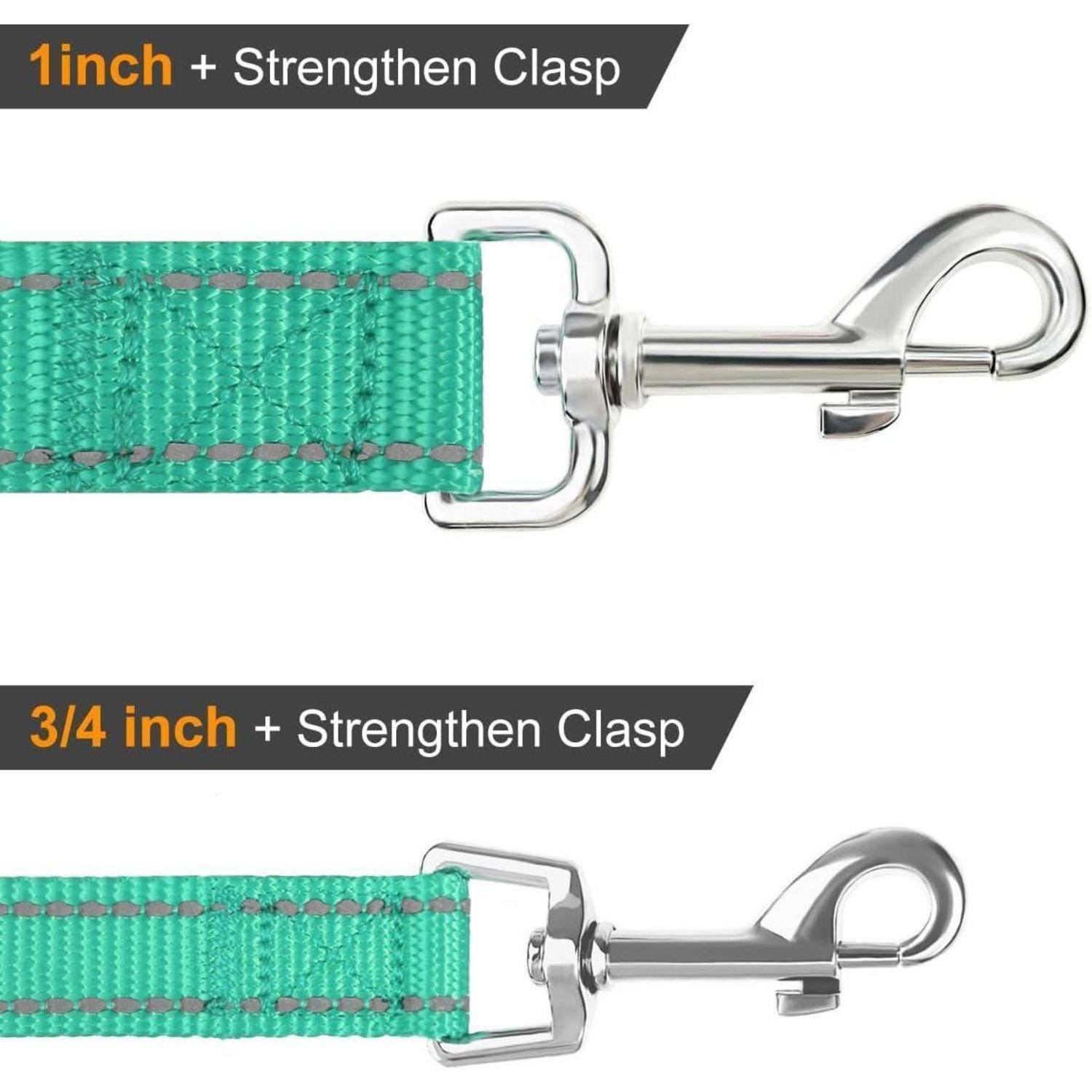 Zwei Hundeleine in Grün mit Metallkarabinern. Obere Leine ist 1 Zoll breit, untere Leine ist 3/4 Zoll breit. Beide bewerben einen 'Verstärkten Karabiner'.