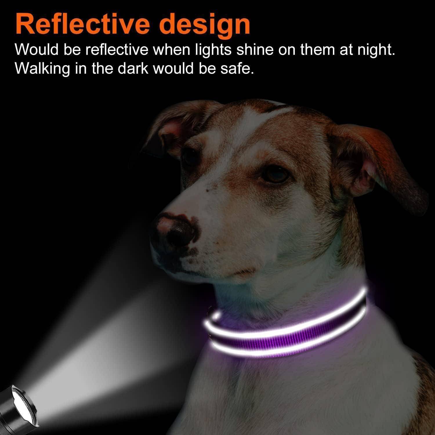 Ein Hund trägt einen leuchtenden Halsband in der Dunkelheit. Text lautet: 'Reflektierendes Design: Würde reflektierend sein, wenn Lichter nachts darauf scheinen. Das Laufen in der Dunkelheit wäre sicher.