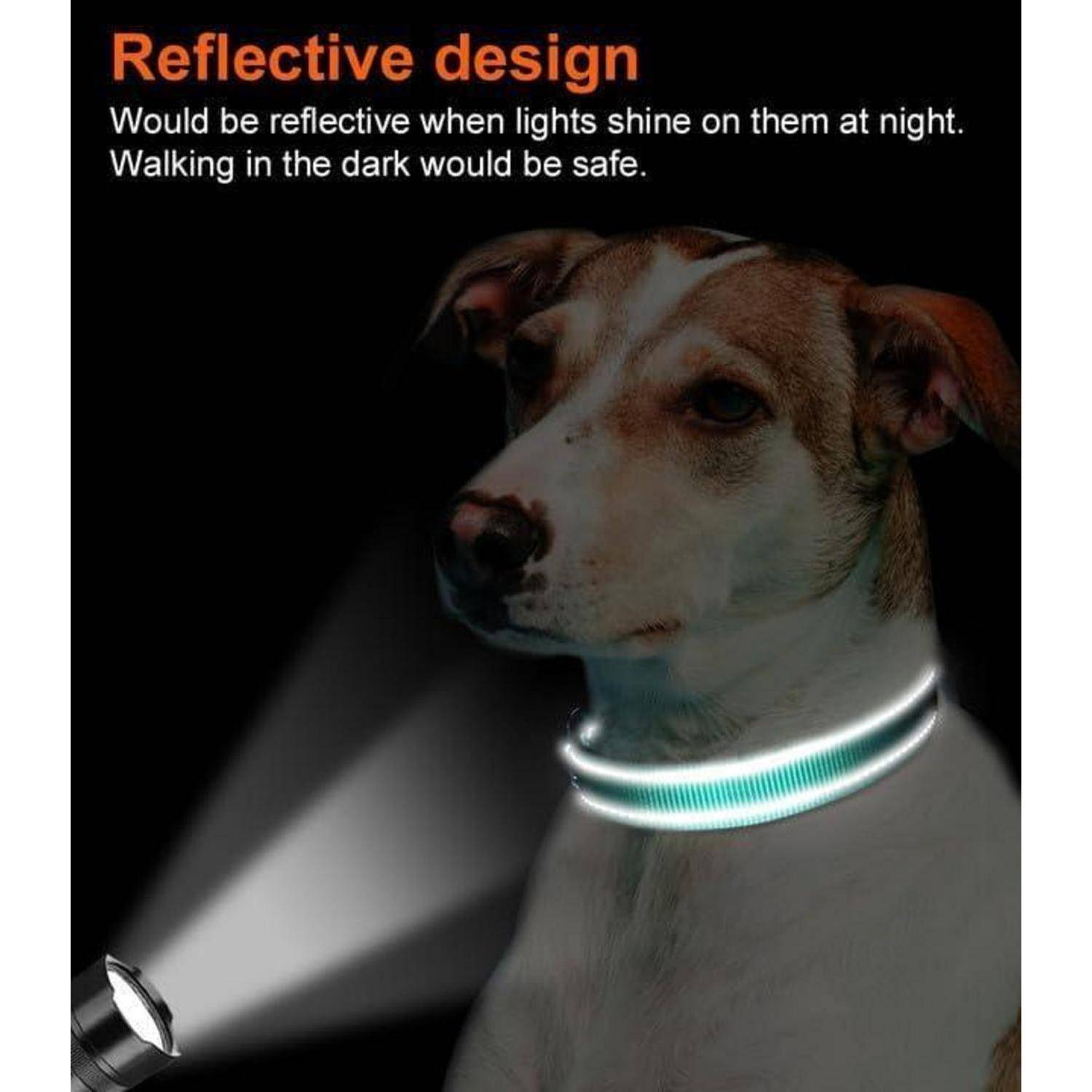 Ein Hund mit einem leuchtend reflektierenden Halsband wird nachts von einer Taschenlampe beleuchtet. Text: ‚Reflektierendes Design... Im Dunkeln würde das Gehen sicher sein.