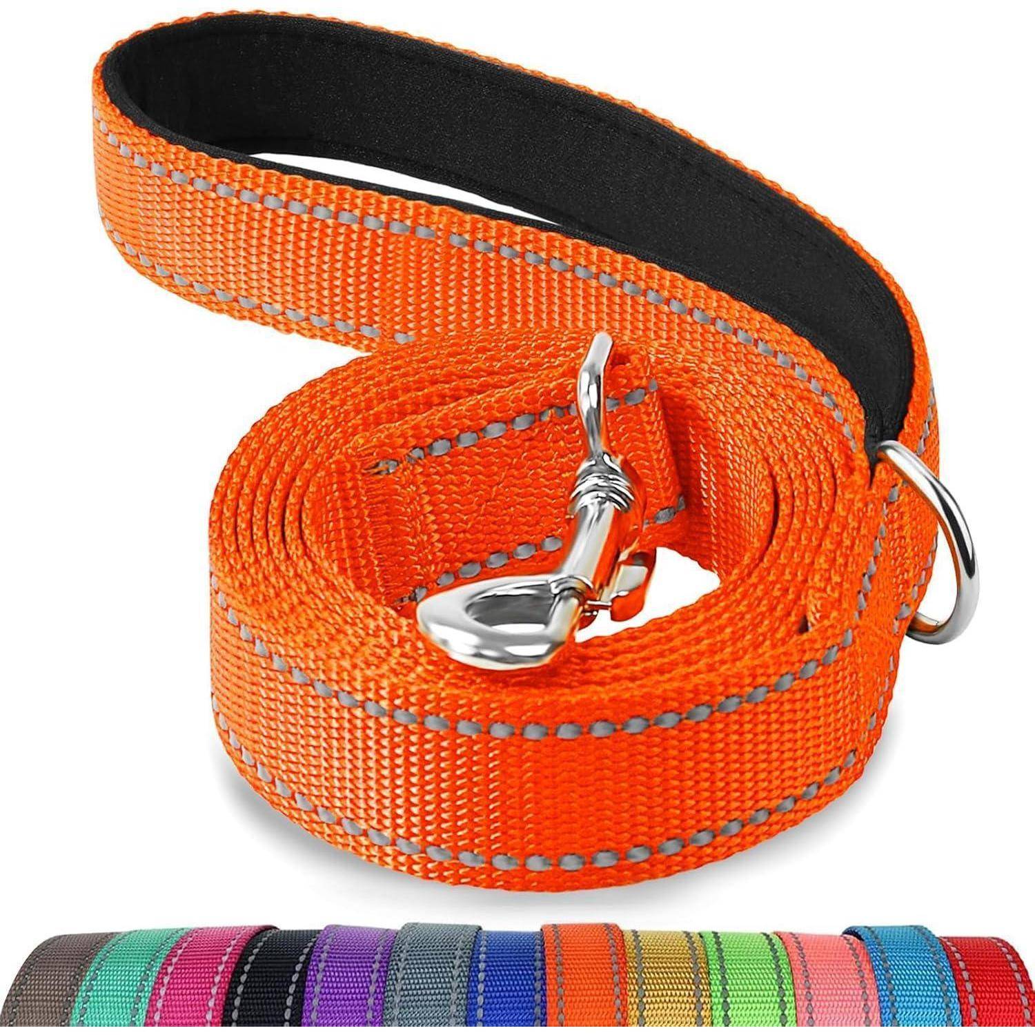 Orange Hundeleine mit reflektierender Naht, zu einer Schlaufe gewickelt mit einer Metallklemme. Darunter sind Farbmuster der Leine in verschiedenen Farben.
