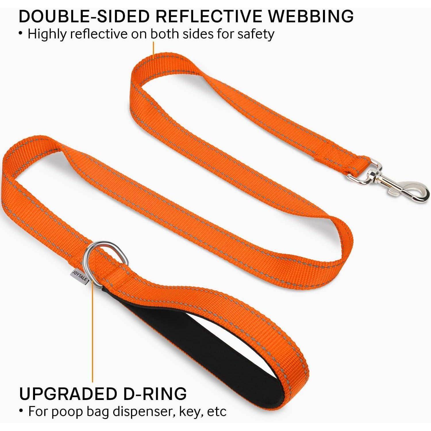 Orangefarbene Hundeleine mit beidseitig reflektierendem Gurtband und aufgewerteter D-Ring-Befestigung, die Sicherheit und Benutzerfreundlichkeit verbessert.