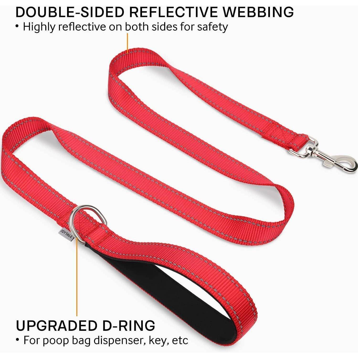 Eine rote Hundeleine mit reflektierendem Gurtband und einem D-Ring für Befestigungen, die Sicherheitsmerkmale und Benutzerfreundlichkeit betont.