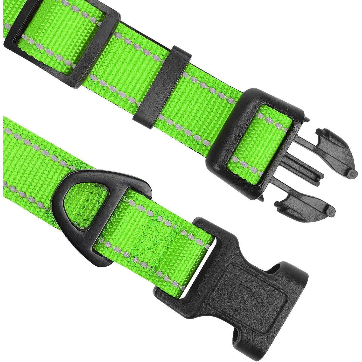 Grüner Nylon-Hundehalsband mit verstellbarer Schnalle und Kunststoff-Klickverschluss.