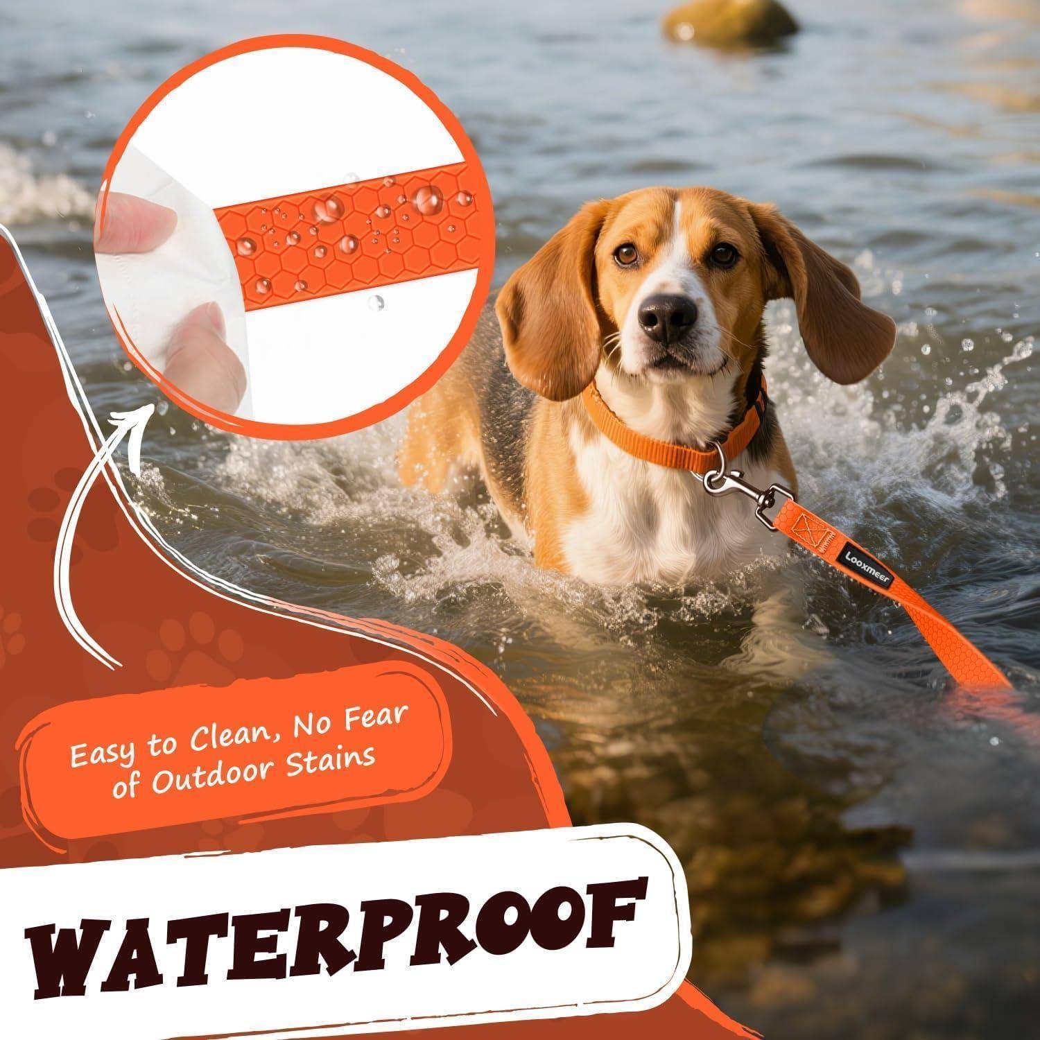 Ein Hund läuft im Wasser an einer orangefarbenen Leine. Die Einblendung zeigt einen Nahaufnahme des wasserfesten Leinen-Materials. Text lautet: 'Leicht zu reinigen, keine Angst vor Flecken im Freien.