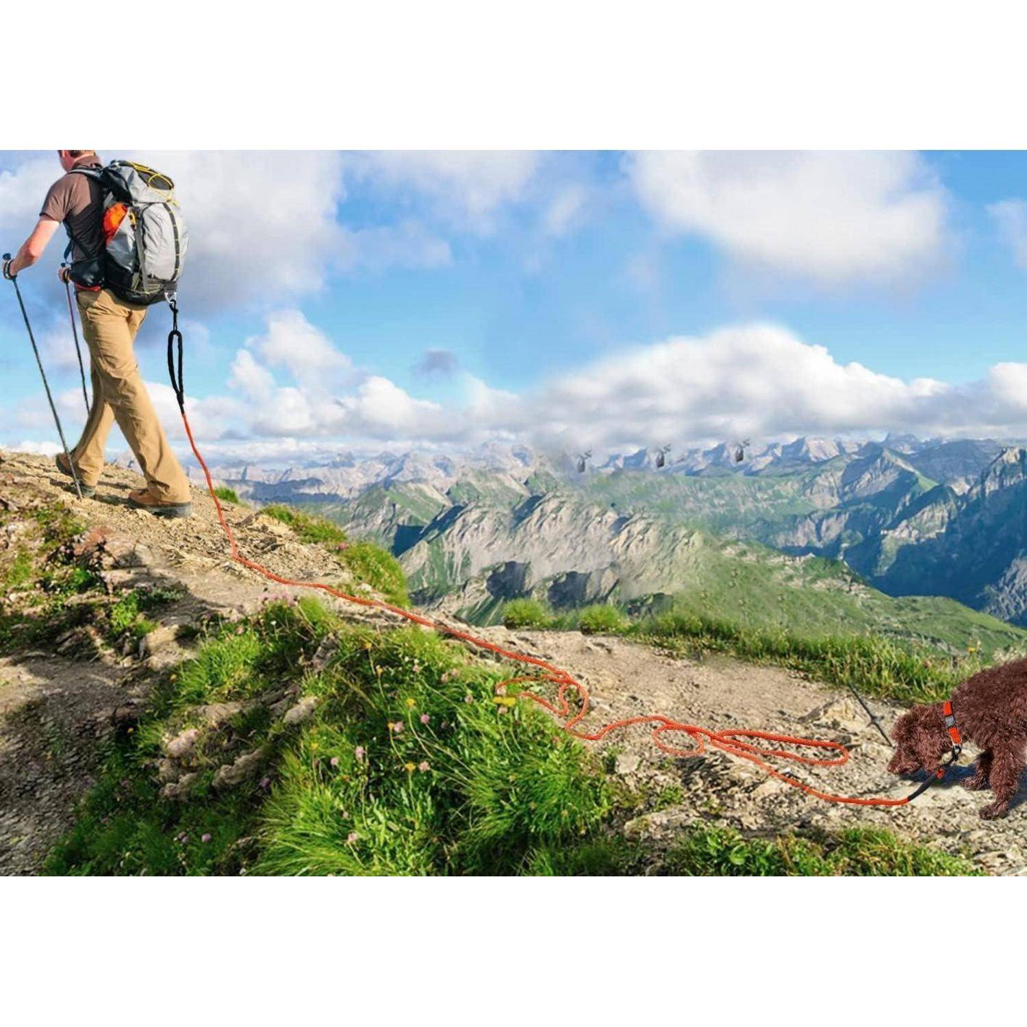 Eine Person, die auf einem Bergpfad wandert, mit einem Rucksack und Wanderstöcken ausgestattet, und einen Bären an der Leine führt, mit Bergen im Hintergrund.
