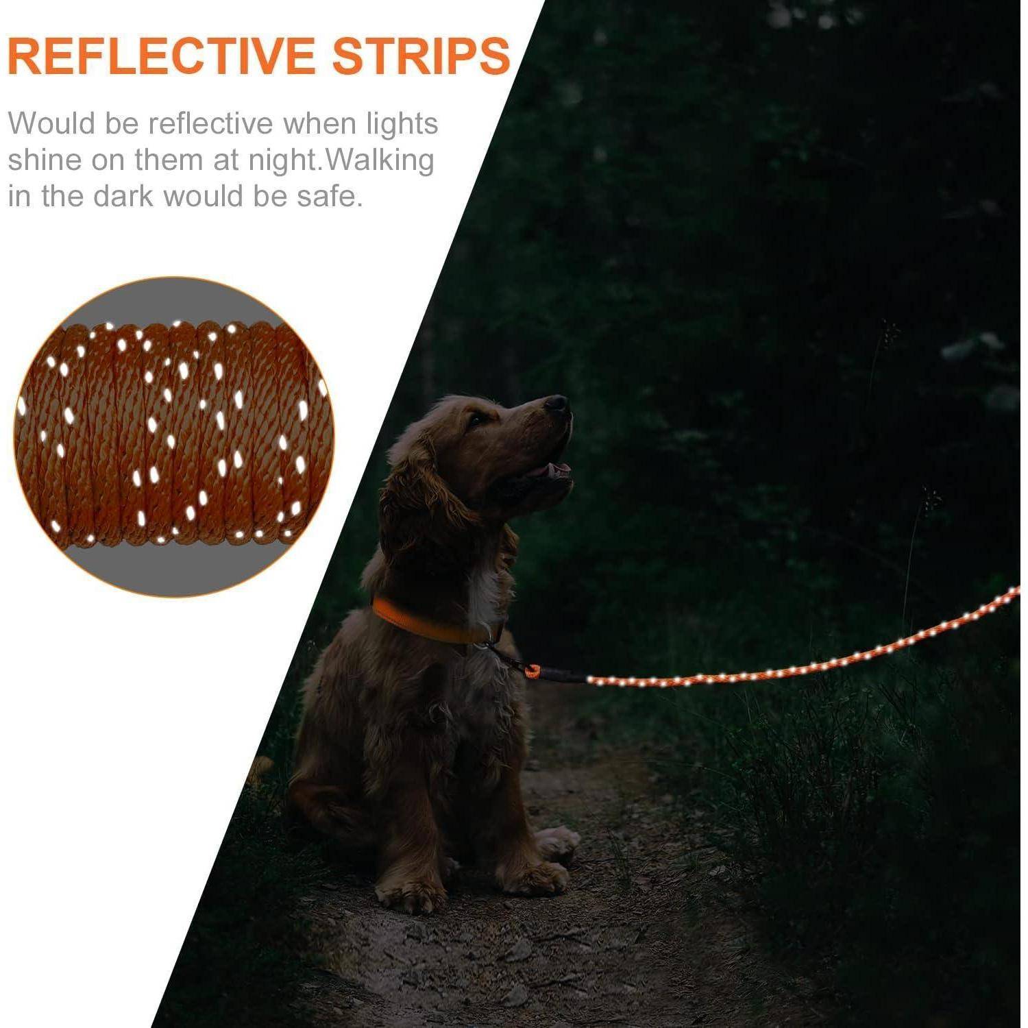 Ein Hund auf einem dunklen Weg bei Nacht mit einem reflektierenden Halsband und Leine. Einblendung zeigt die reflektierenden Streifen der Leine für bessere Sichtbarkeit. Text lautet: 'Reflektierende Streifen'.