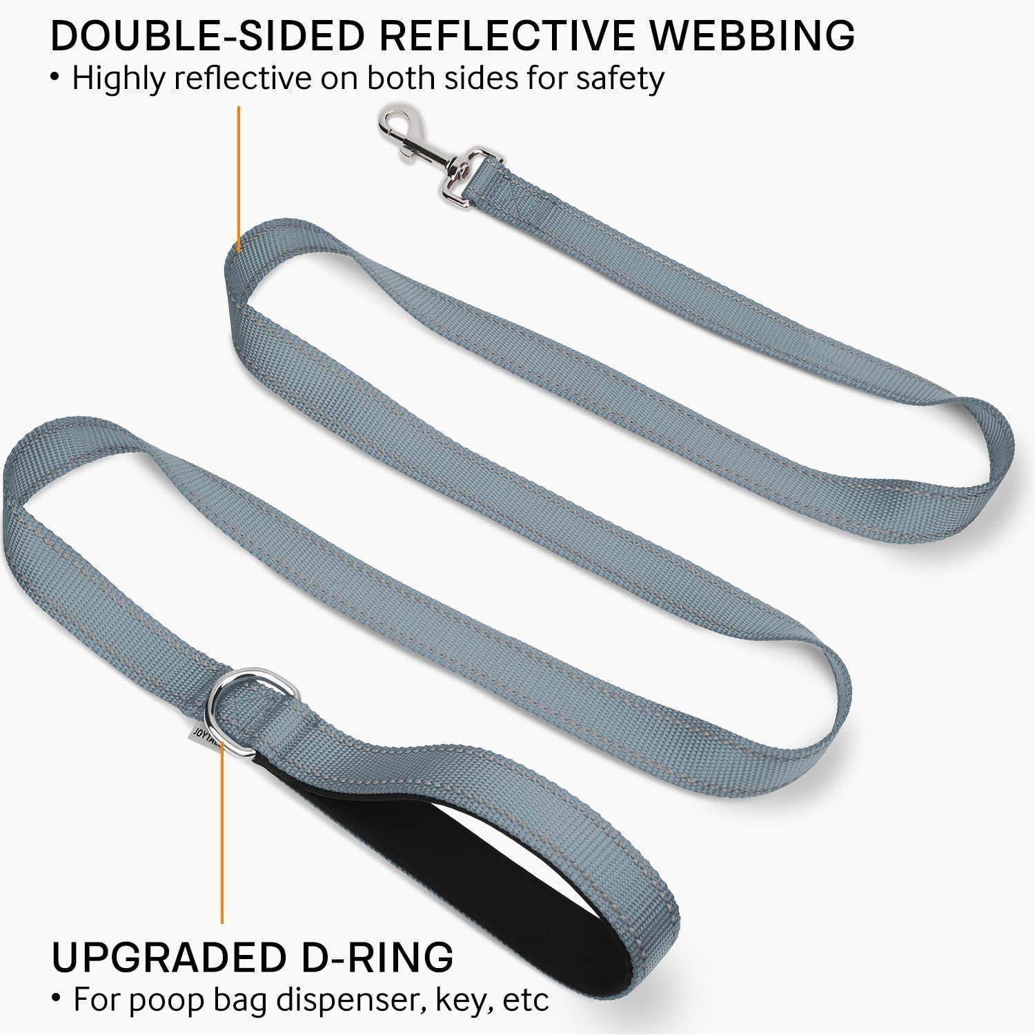 Graue Hundeleine mit beidseitigem reflektierendem Gurtband für mehr Sicherheit und einem verbesserten D-Ring zum Anbringen von Zubehör wie einem Kotbeutelspender.