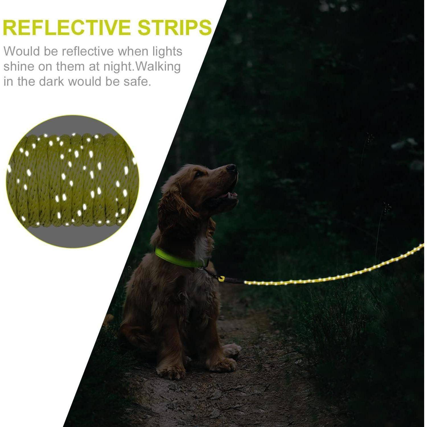 Ein Hund mit einem Halsband mit Reflektionsstreifen sitzt auf einem dunklen Weg. Der Text lautet 