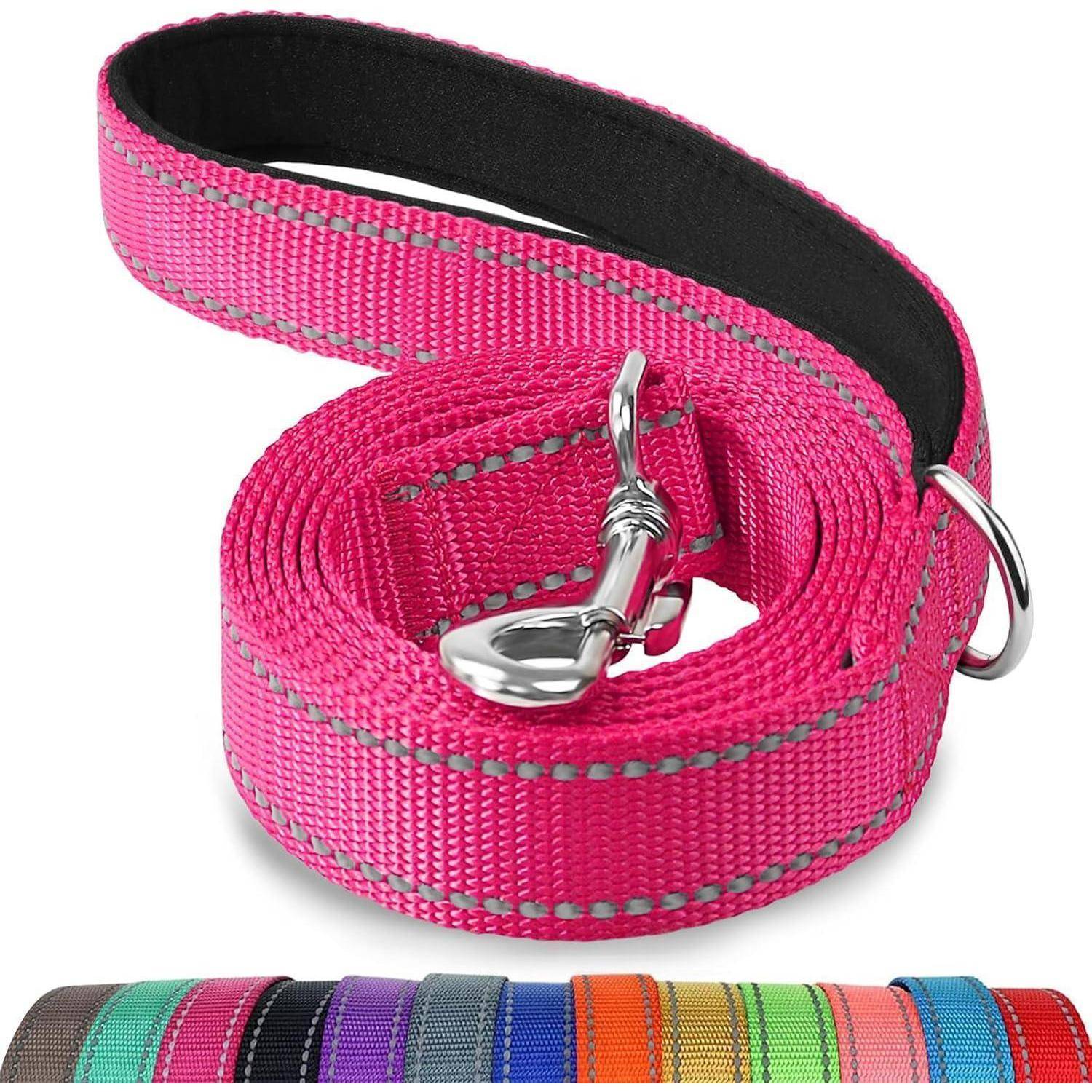 Eine leuchtend pinke Nylonleine für Hunde mit einer Metallklemme, hervorgehoben durch reflektierende Nähte für bessere Sichtbarkeit. Verschiedene andere Farben sind unten abgebildet.
