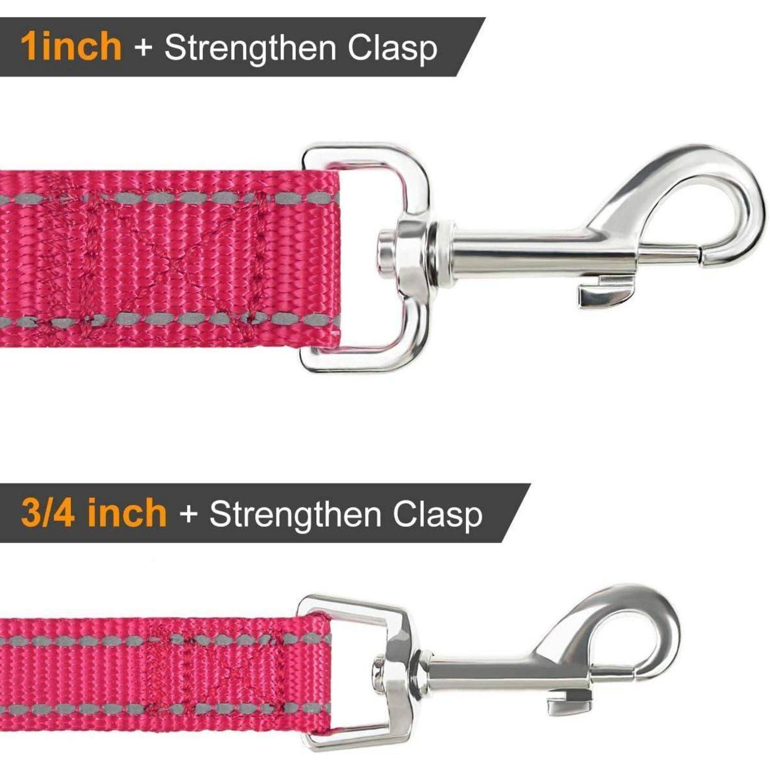 Oben: Nylonhundeleine mit Aufschrift '1 Zoll + Verstärkter Karabiner', die einen größeren Karabiner zeigt. Unten: Leine mit Aufschrift '3/4 Zoll + Verstärkter Karabiner', mit einem kleineren Karabiner.