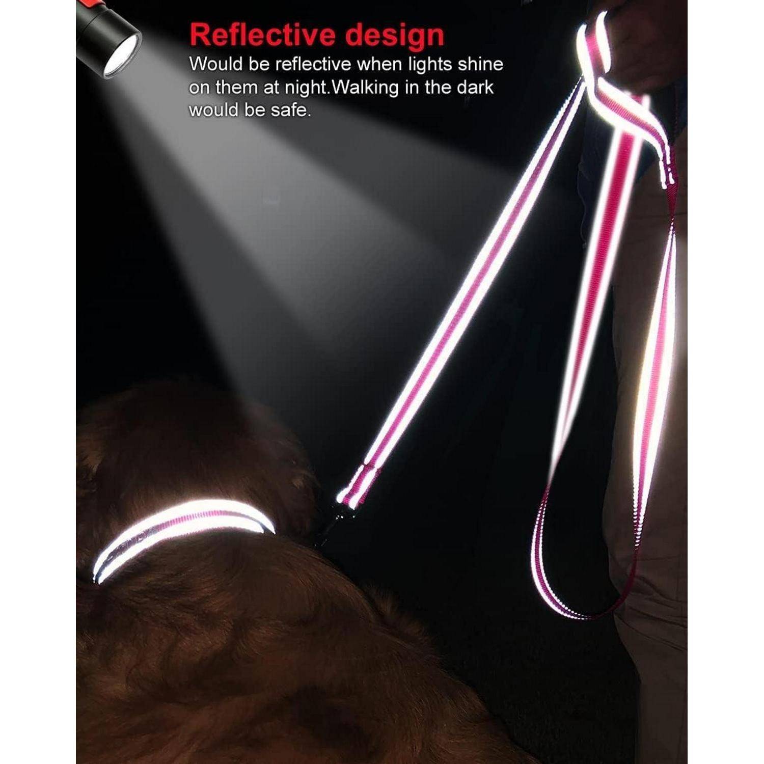 Eine Person, die eine reflektierende Leine und ein reflektierendes Halsband an einem Hund bei Nacht trägt. Text: ‚Reflektierendes Design' betont die Sicherheit beim Gehen in der Dunkelheit.
