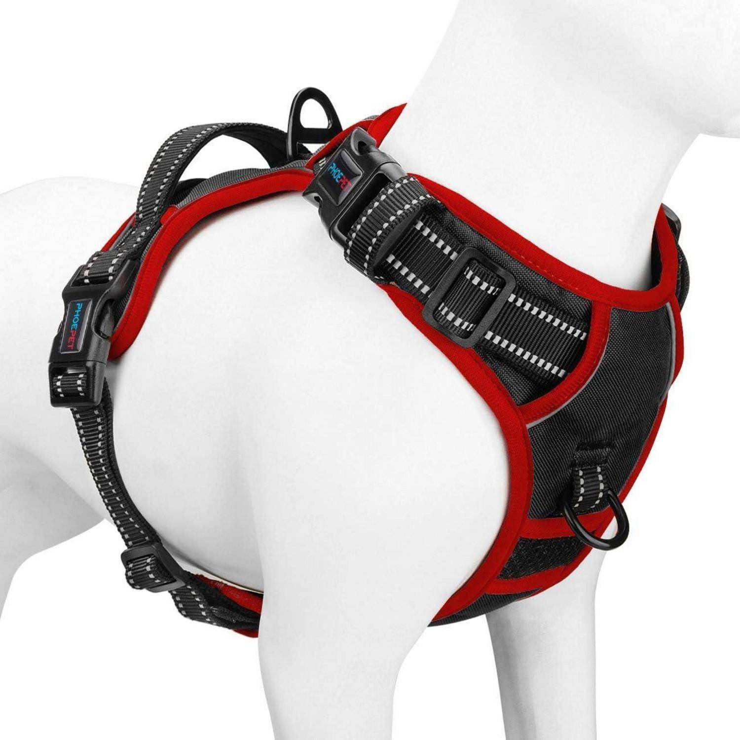 Hund mit Geschirr in Rot und Schwarz, das verstellbare Riemen und robuste Bauweise zeigt, geeignet für Kontrolle und Komfort während des Spaziergangs.