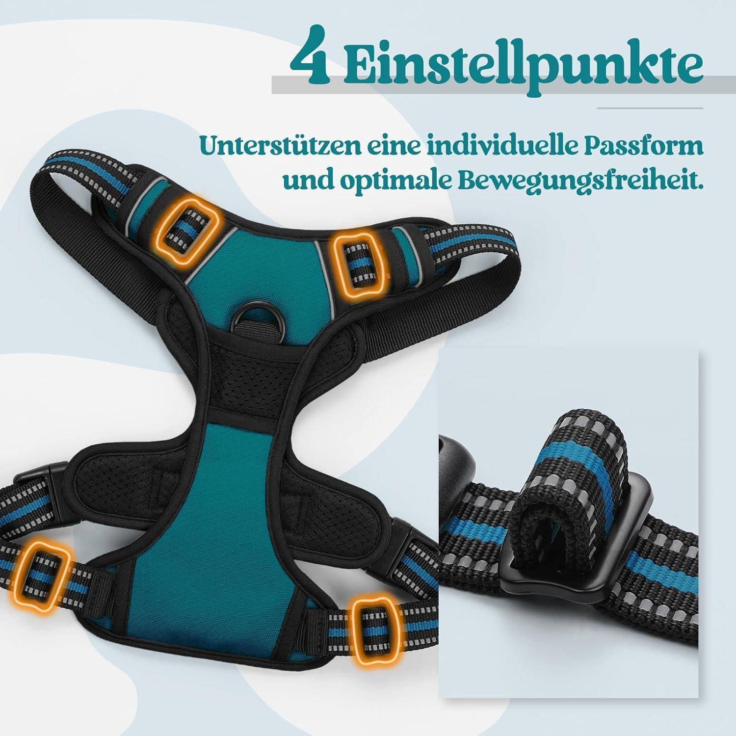 Hundegeschirr mit 4 Einstellpunkten für individuellen Sitz und optimale Bewegungsfreiheit. Nahaufnahme der Schnallenbefestigung.