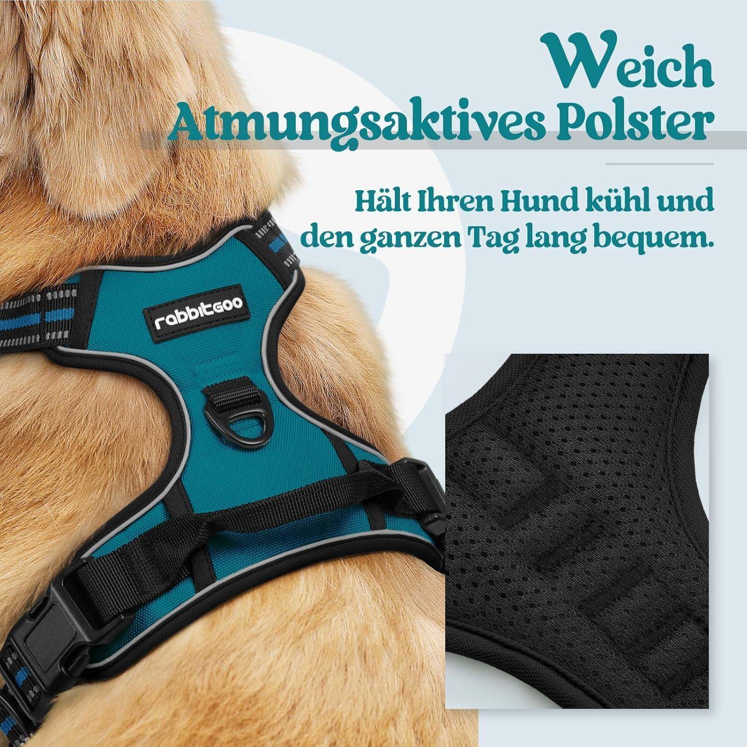 Ein Nahaufnahme eines goldenen Hundes von hinten mit einem türkisfarbenen Geschirr mit dem 'rabbitgoo' Logo. Text besagt: 'Weich atmungsaktives Polster hält Ihren Hund kühl und den ganzen Tag lang bequem.
