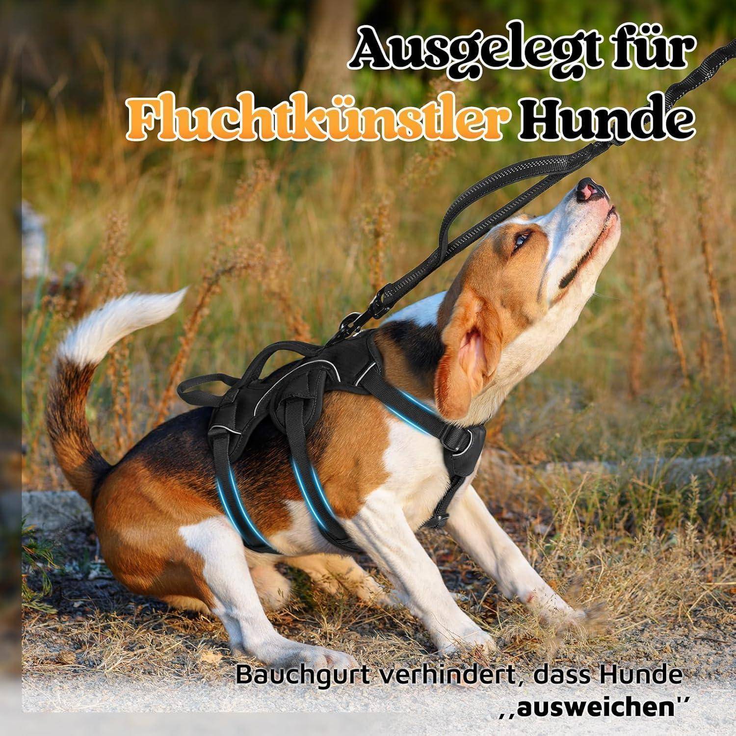 Ein Hund mit Geschirr und Leine stemmt sich auf einer Rasenfläche nach hinten. Text auf Deutsch lautet: 'Ausgelegt für Fluchtkünstler Hunde