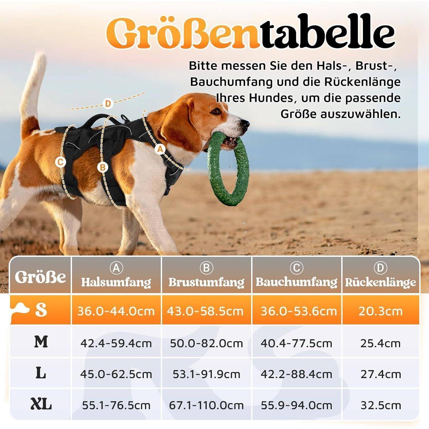 Beagle trägt ein Geschirr in Größe 'S'. Die 'Größentabelle' zeigt Hals-, Brust- und Rückenmessungen für die Größen S, M, L, XL. Die Felder sind von A bis D beschriftet.