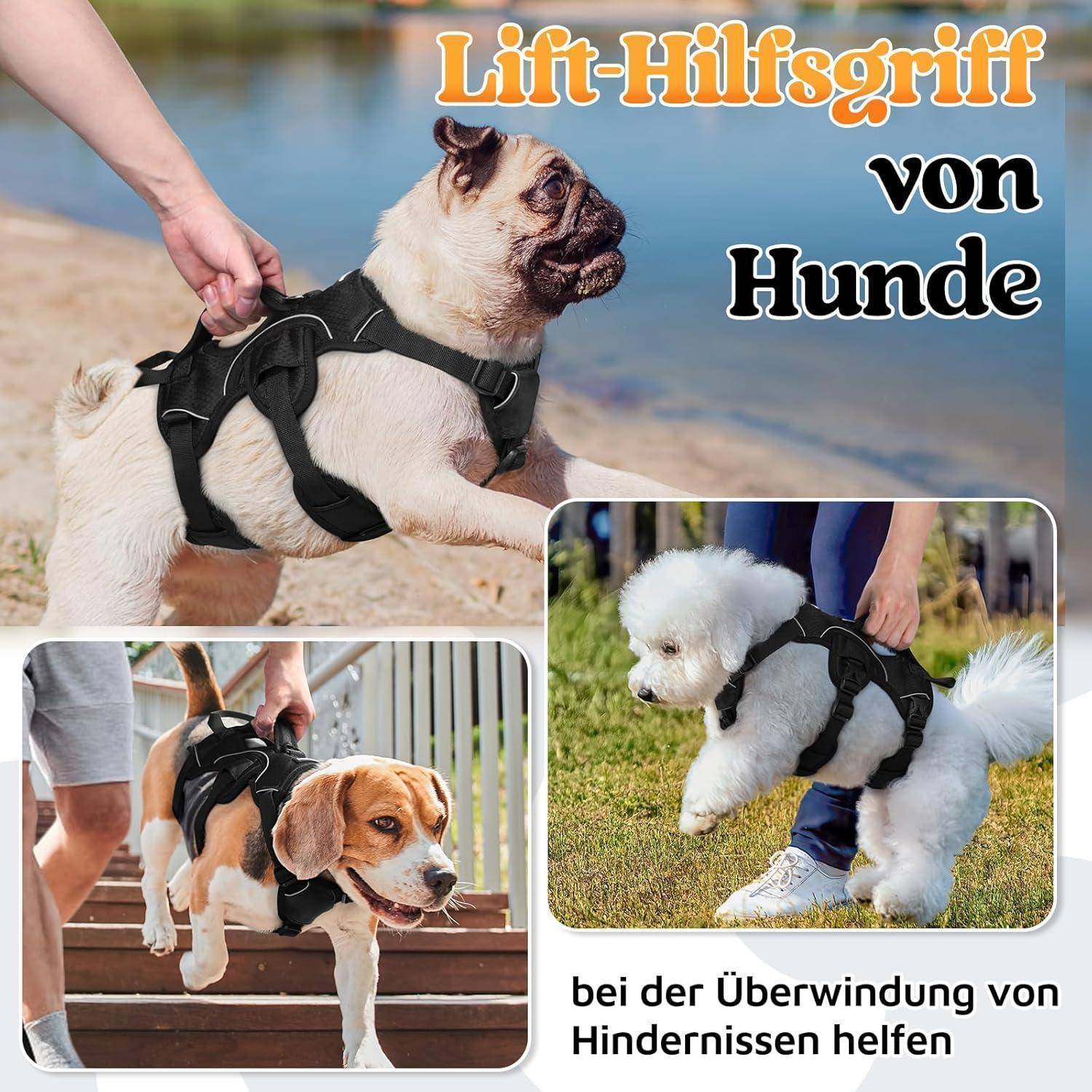 Eine Collage, die drei Hunde mit Aufzugsgurten zeigt, die ihnen bei der Mobilität helfen. Text lautet: 