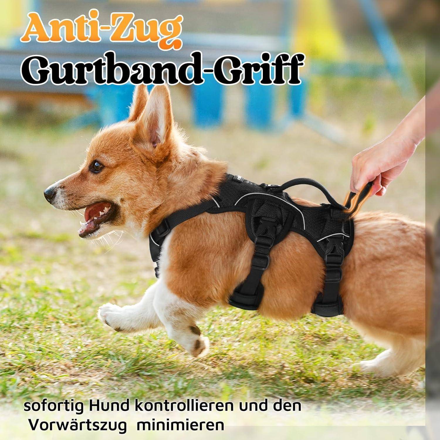 Ein Corgi mit Geschirr wird von einer Person gehalten, wobei Text den 'Anti-Zug Gurtband-Griff' hervorhebt, um Ziehen zu kontrollieren und zu minimieren.