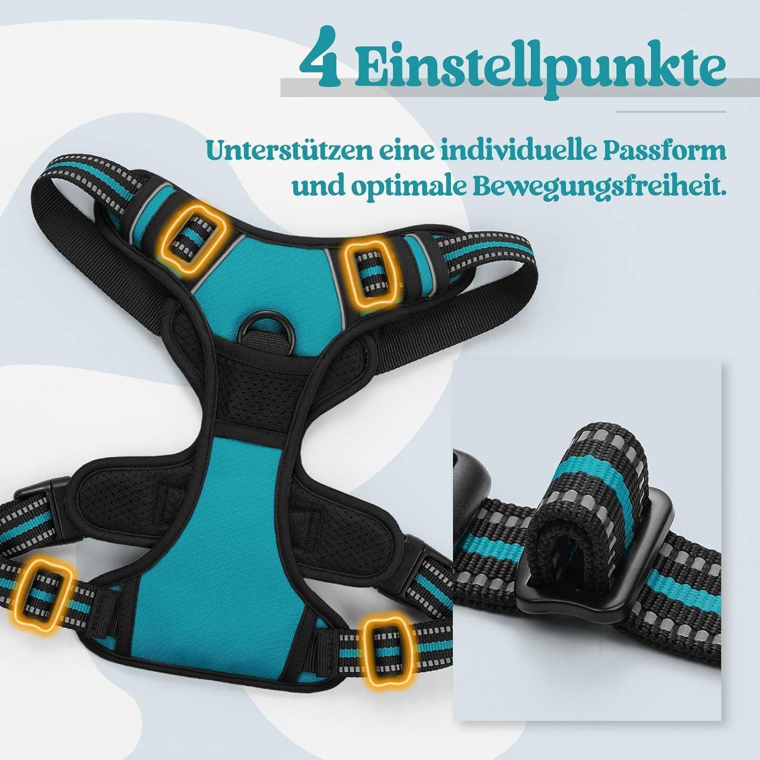 4 Einstellpunkte' Geschirr-Bild, das verstellbare schwarze und türkisfarbene Riemen mit goldenen Schnallen zeigt, die Passform und Beweglichkeit verbessern.