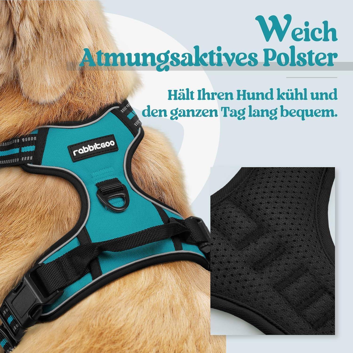 Ein Hund trägt ein türkisfarbenes Geschirr mit der Aufschrift 'rabbitgoo', das seine atmungsaktive Polsterung für kühlenden Komfort bewirbt.