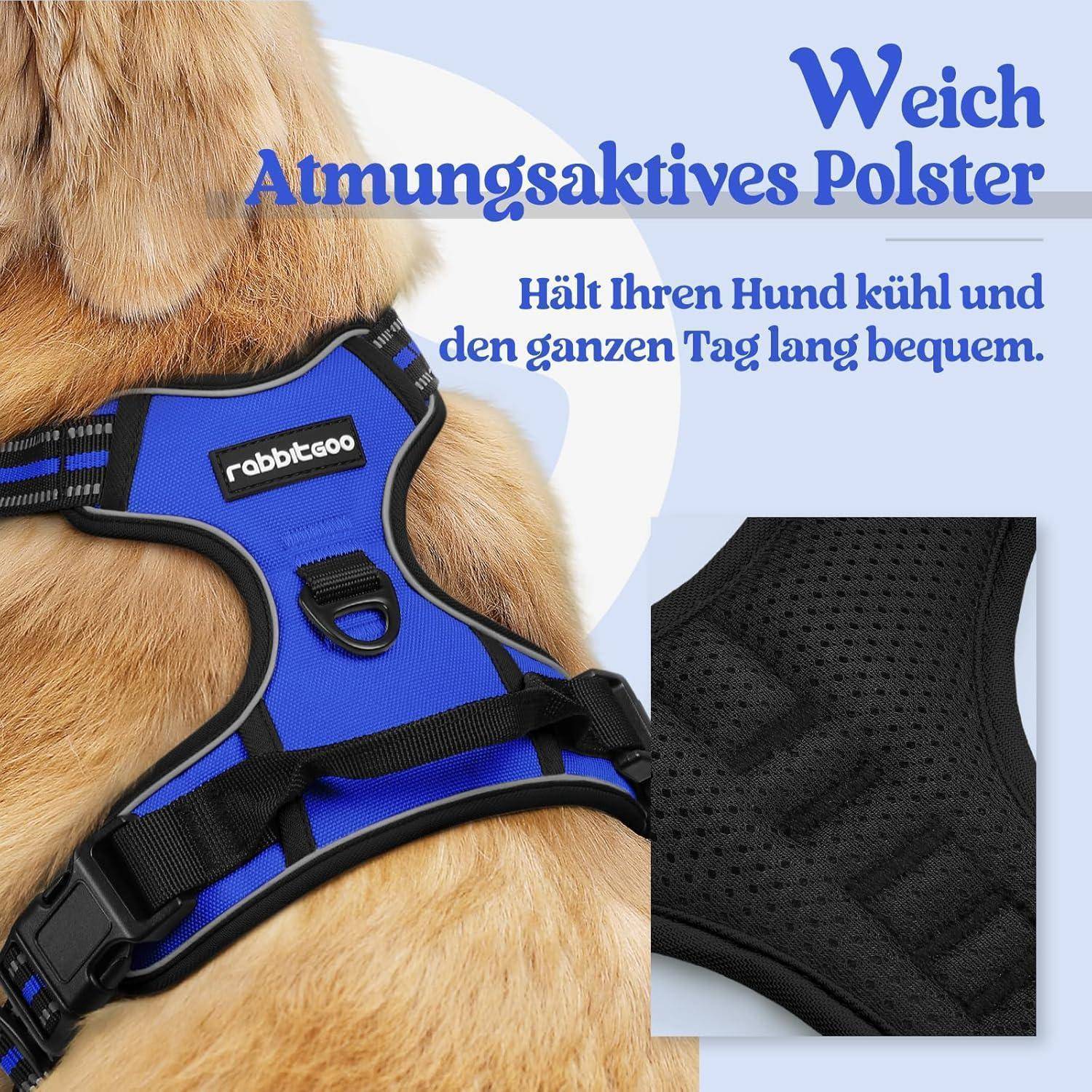 Ein Hund trägt ein blaues Geschirr mit der Aufschrift „rabbitgoo