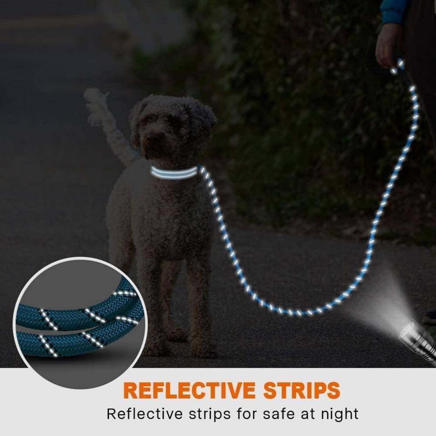 Ein Hund mit einer Leine mit reflektierendem Streifen läuft nachts. Eine Detailaufnahme zeigt das reflektierende Material der Leine.