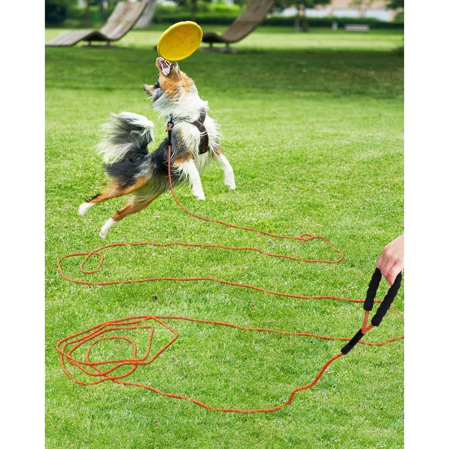 Ein Hund springt, um eine gelbe Frisbee in einem grasbewachsenen Park zu fangen, angebunden an eine orange Leine, die von einer Person gehalten wird.