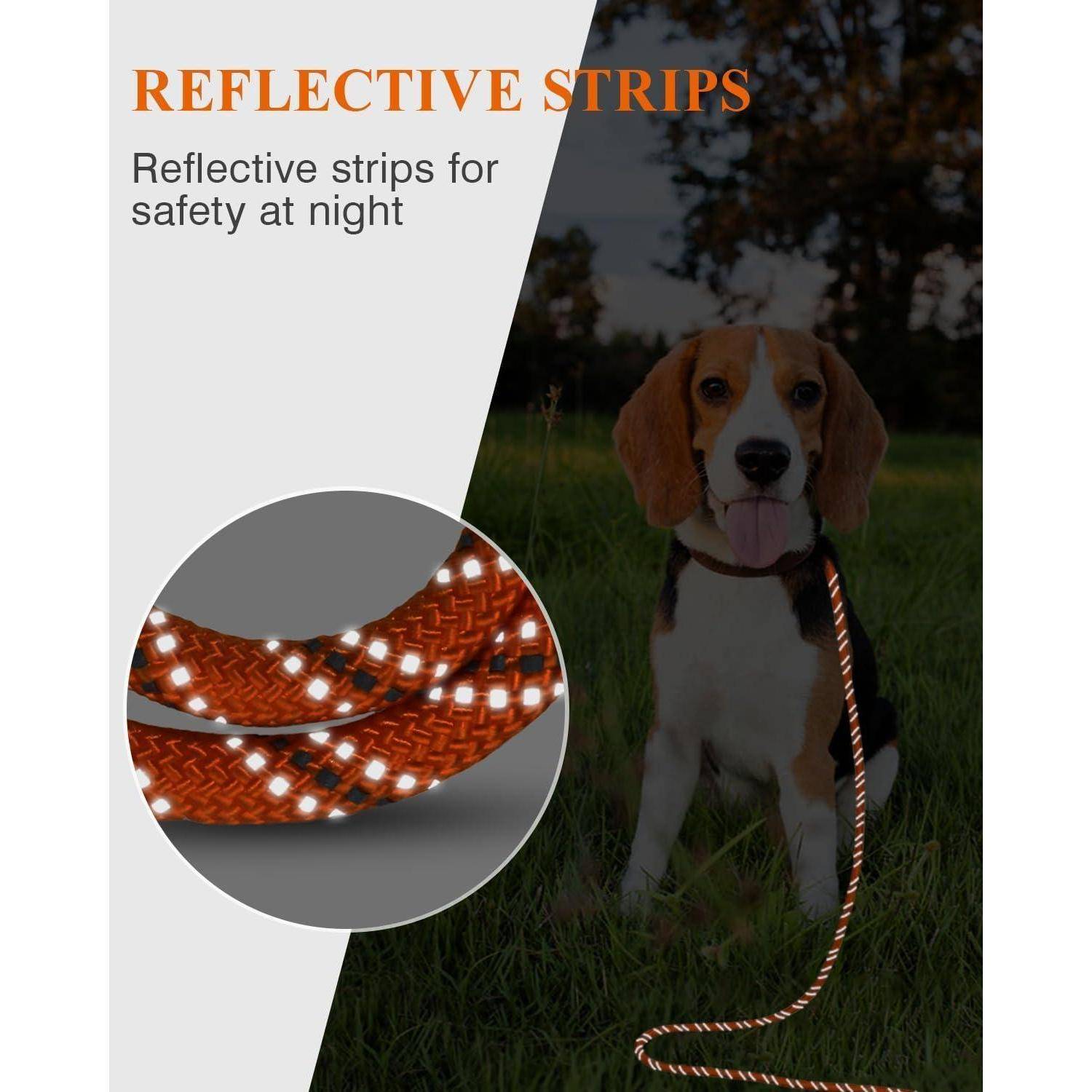 Ein Hund an der Leine steht auf Gras. Eine Detailansicht zeigt den reflektierenden Streifen. Der Text lautet: 