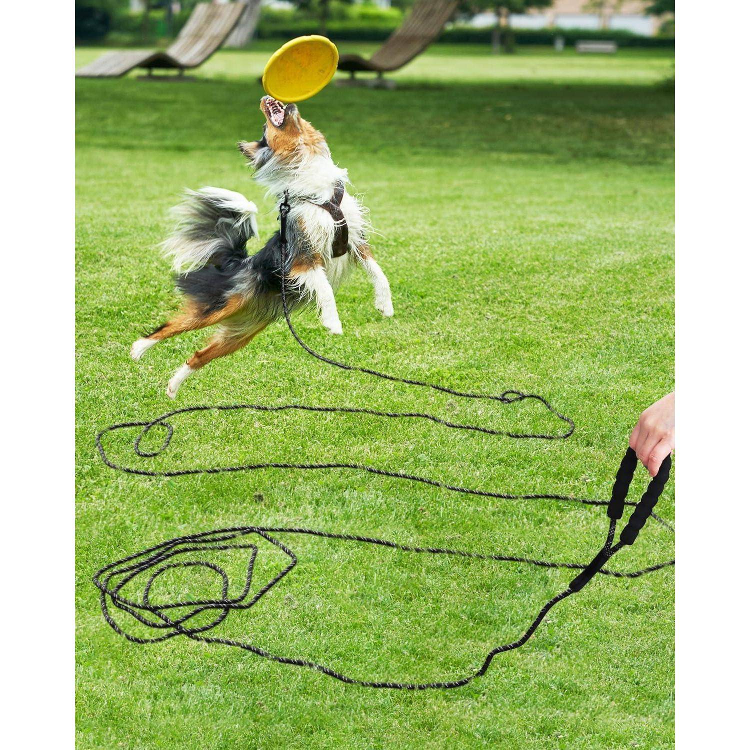 Ein Hund springt in die Luft, um eine gelbe Frisbee in einem grasigen Park zu fangen, an einer langen schwarzen Leine, die mit der Hand einer Person verbunden ist.