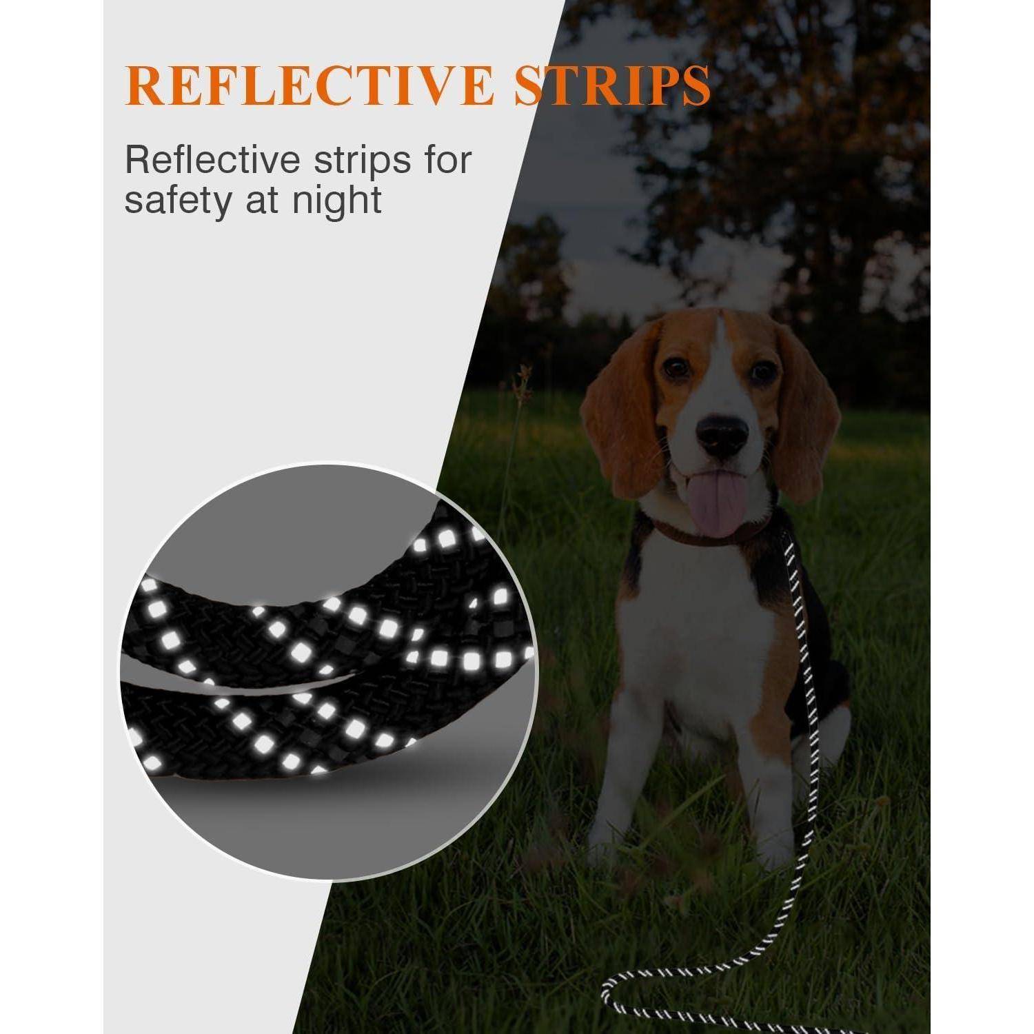 Ein Beagle auf Gras mit einer Leine. Einblendung zeigt reflektierende Streifen an der Leine für Sicherheit in der Nacht, beschriftet mit 'Reflektierende Streifen'.