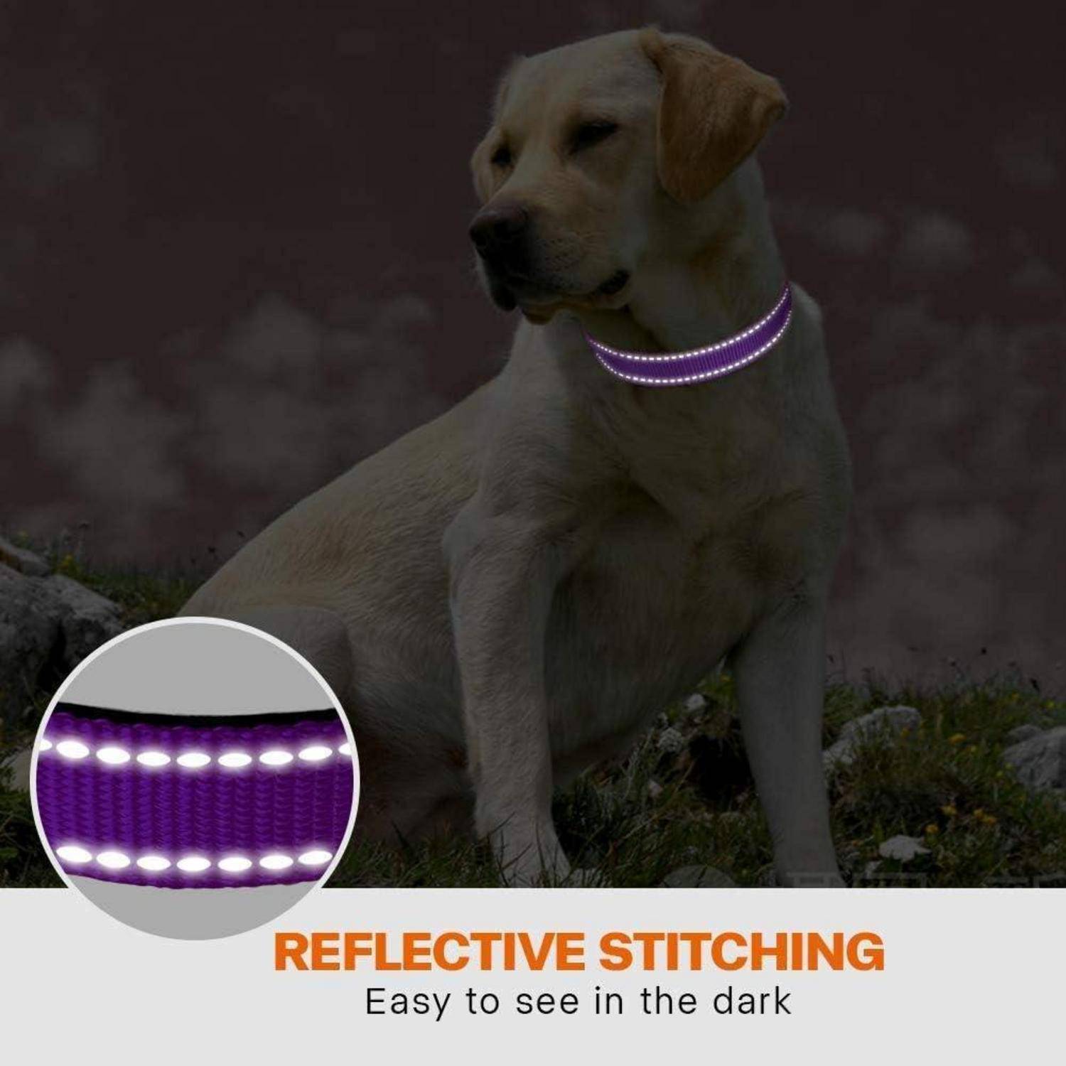 Hundehalsband Neopren verstellbar reflektierend S (25-40cm) Lila