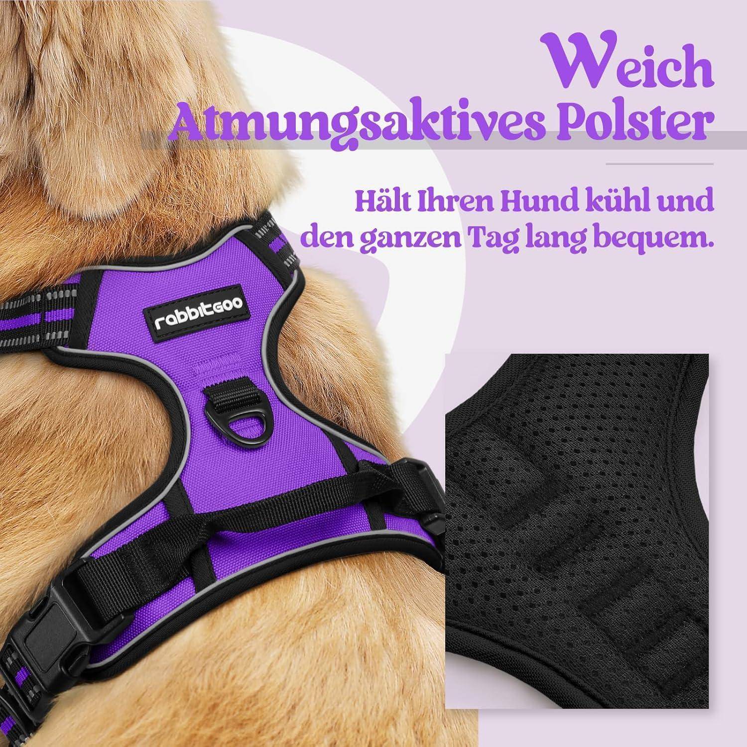 Ein Hund trägt ein lila Geschirr mit der Aufschrift 