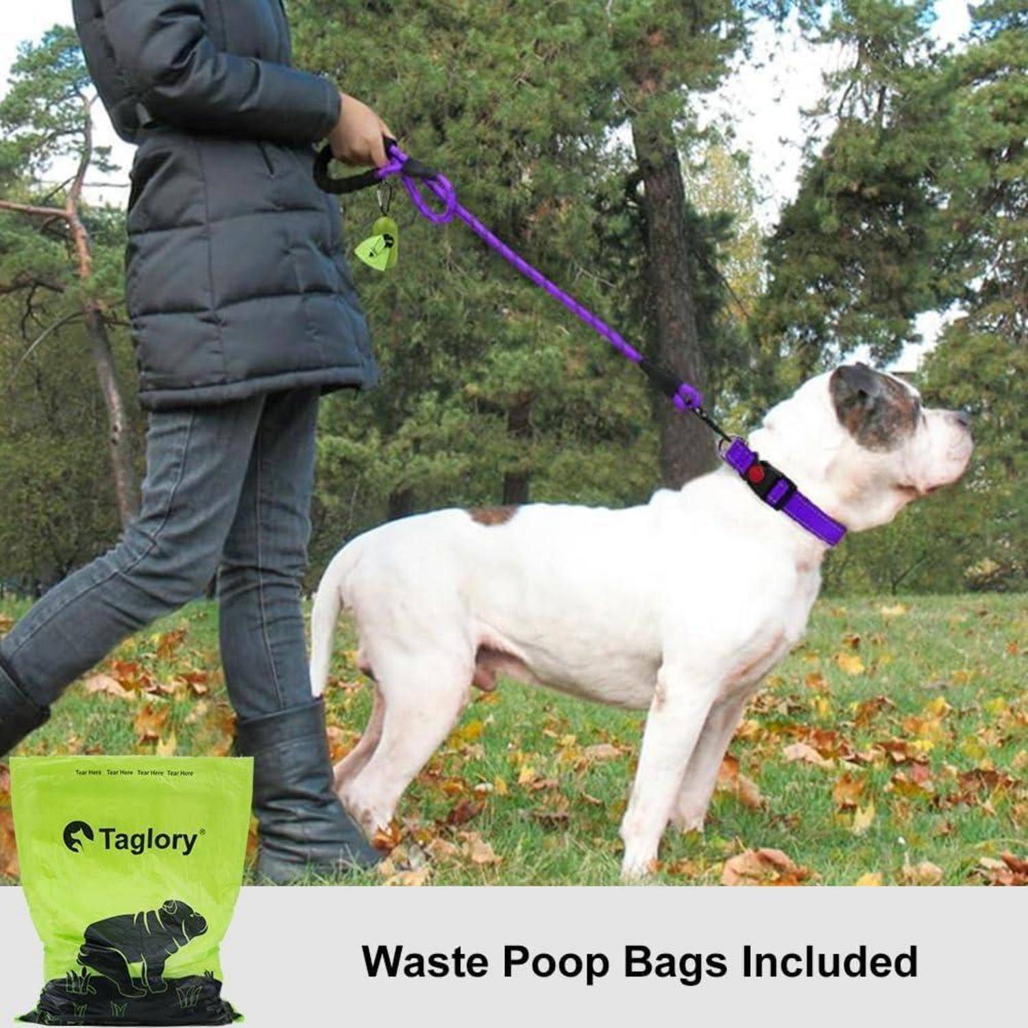 Person walking a white dog with a purple leash in a park. Text on the image reads 'Kotbeutel inklusive.