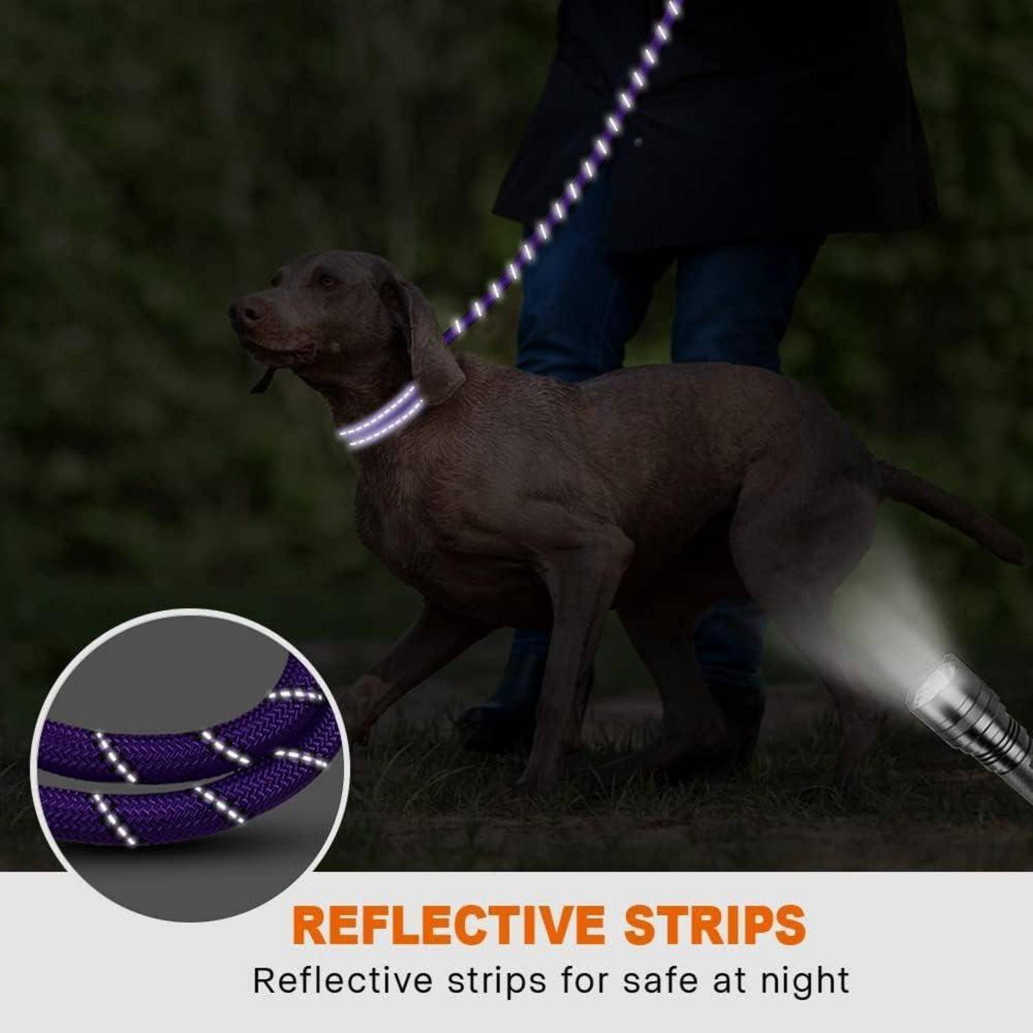 Ein Hund trägt einen Halsband mit reflektierenden Streifen, der von einer Taschenlampe beleuchtet wird. Die Einblendung zeigt eine Nahaufnahme des reflektierenden Details. Der Text lautet 