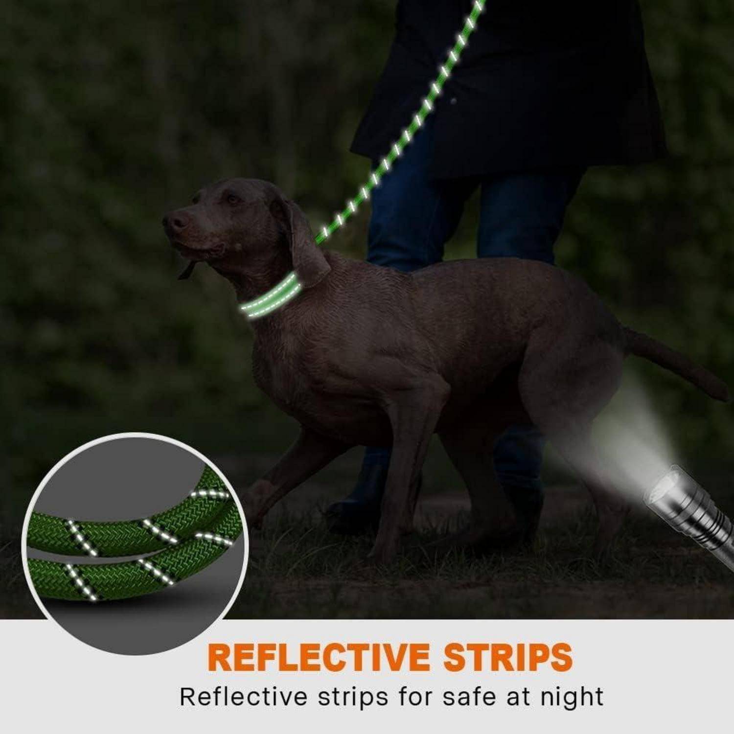 Eine Person führt nachts einen Hund an der Leine mit grünen reflektierenden Streifen für bessere Sichtbarkeit. Die Einblendung zeigt eine Nahaufnahme der Leinenstruktur.