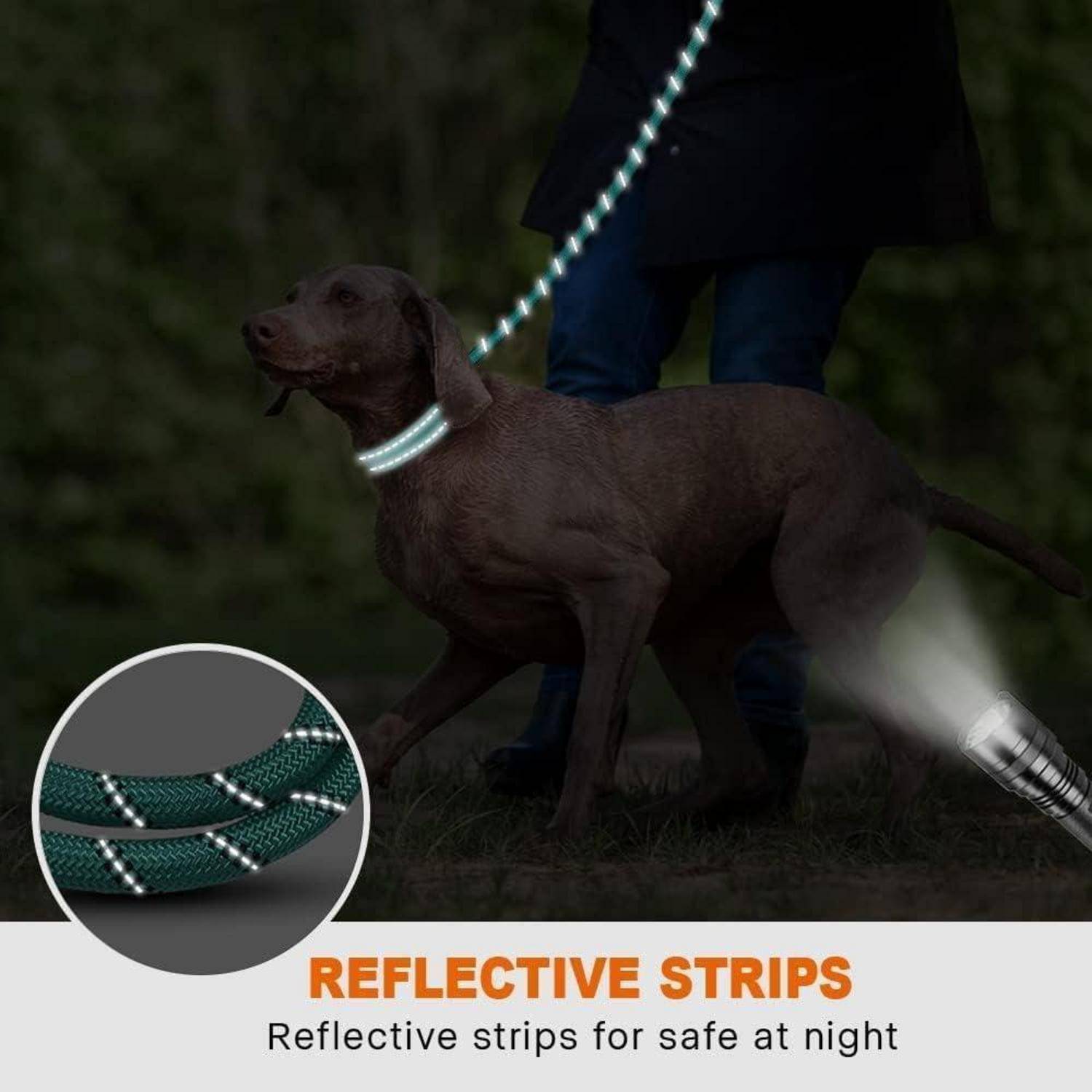 Hund mit reflektierender Leine, der nachts spaziert. Einblendung zeigt Nahaufnahme der reflektierenden Streifen der Leine. Text lautet: ‚Reflektierende Streifen für Sicherheit in der Nacht.